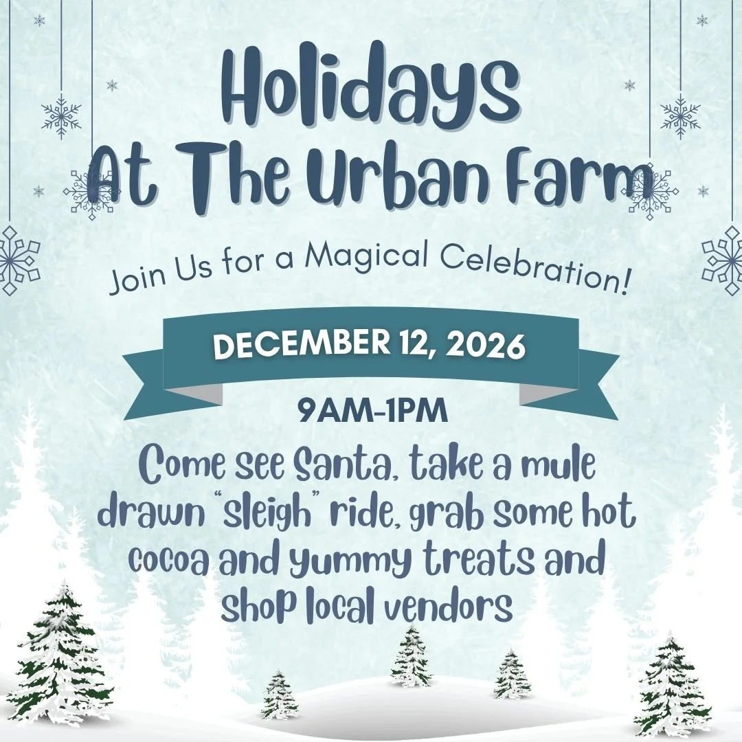 Holidays at the Farm 