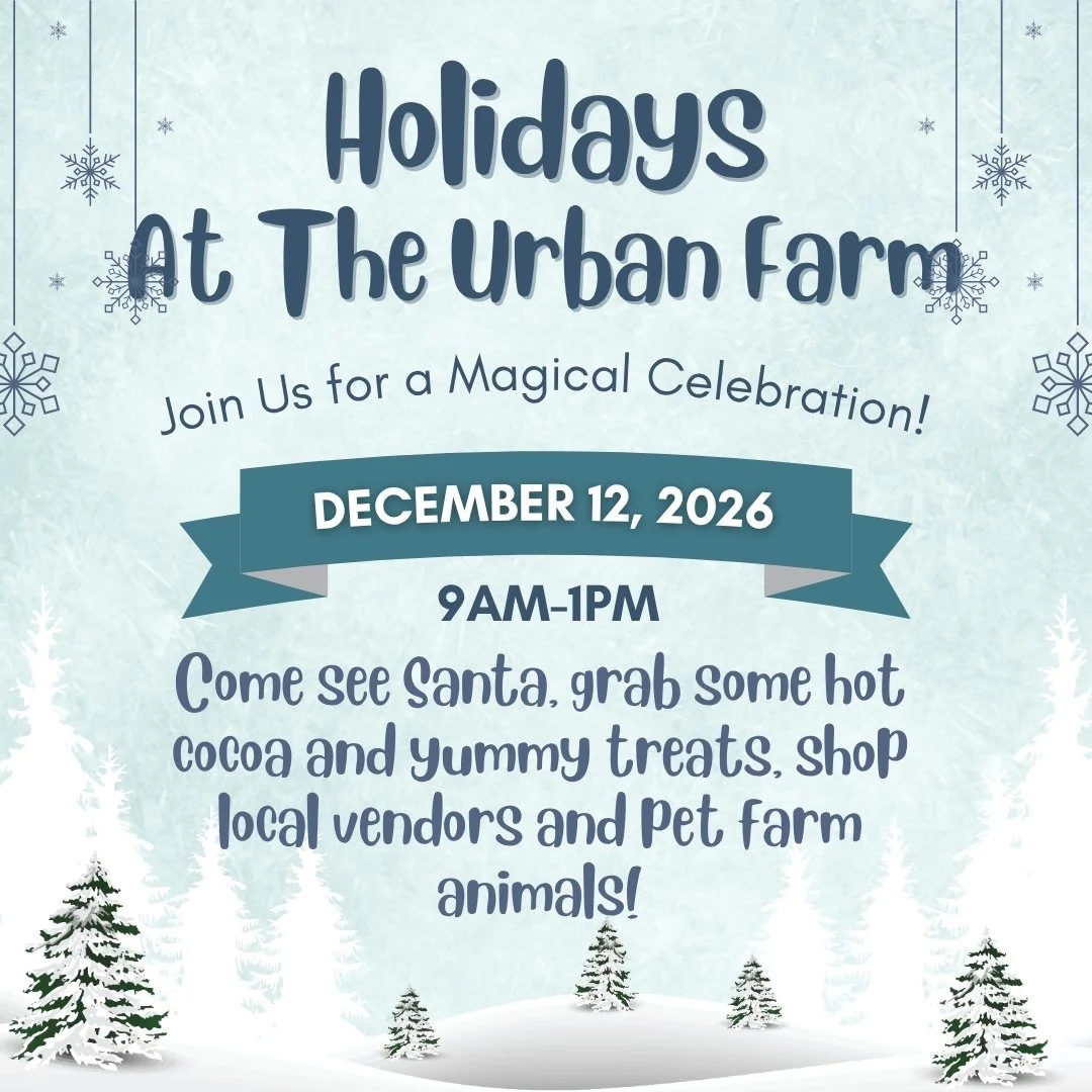 Holidays at the Farm 