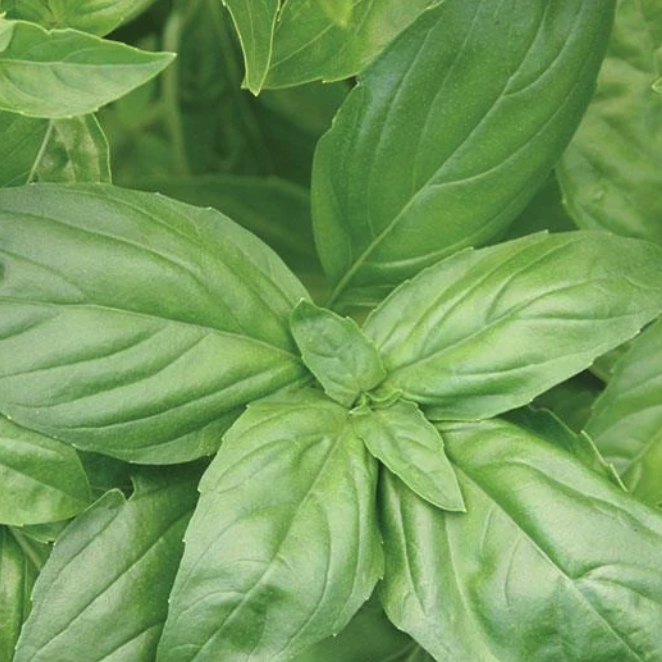 Large CSA Bundle - Monthly Subscription