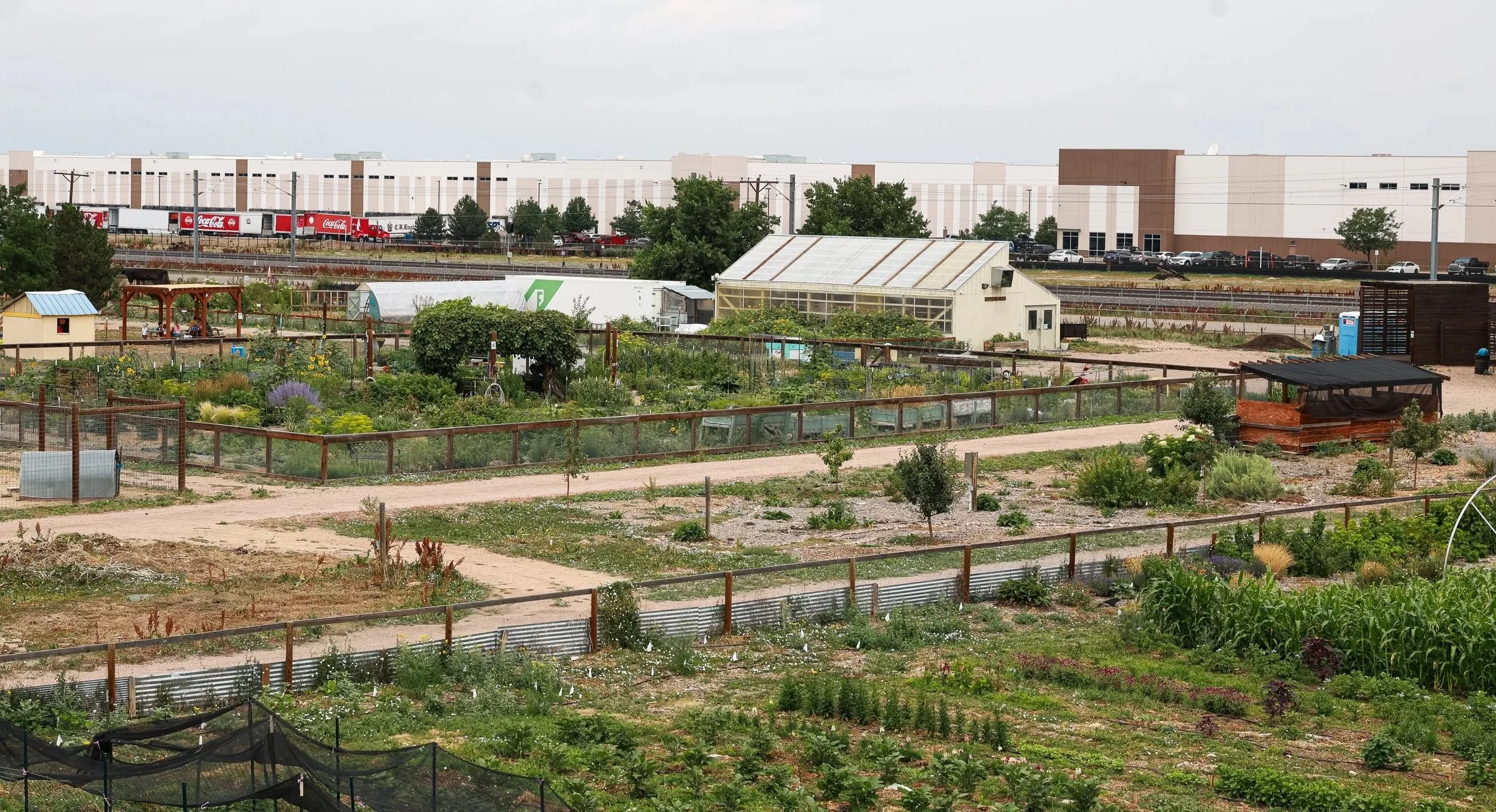 Urban Farm-177.jpg