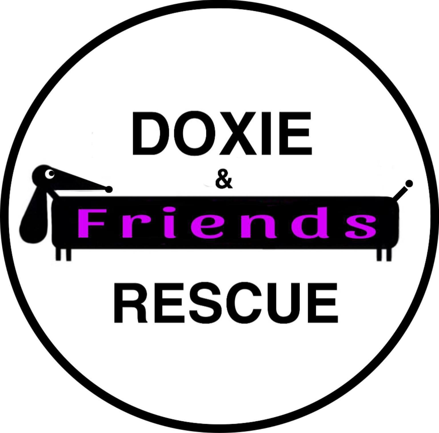 Doxie &amp; Friends Rescue