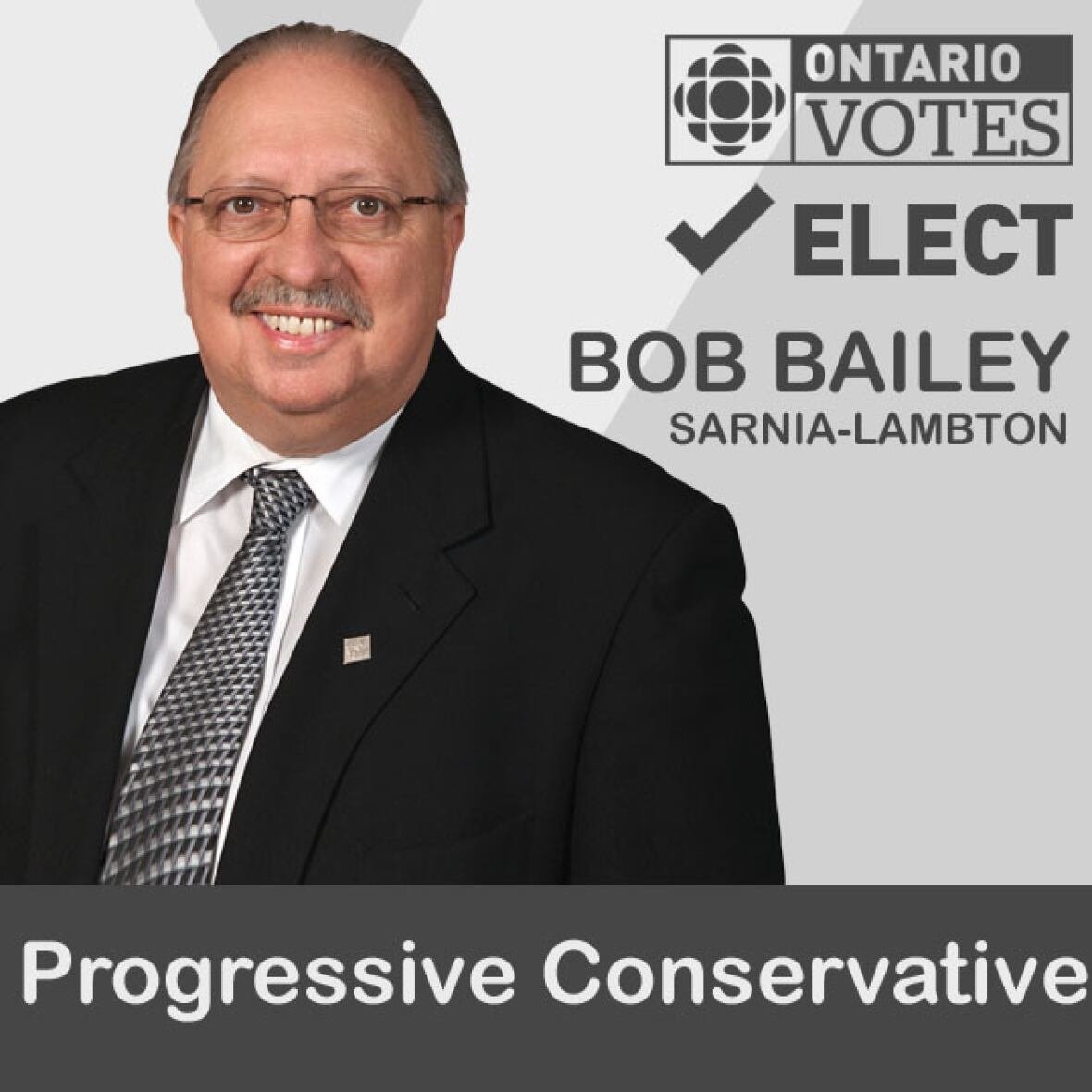 Bob Bailey, Sarnia Lambton