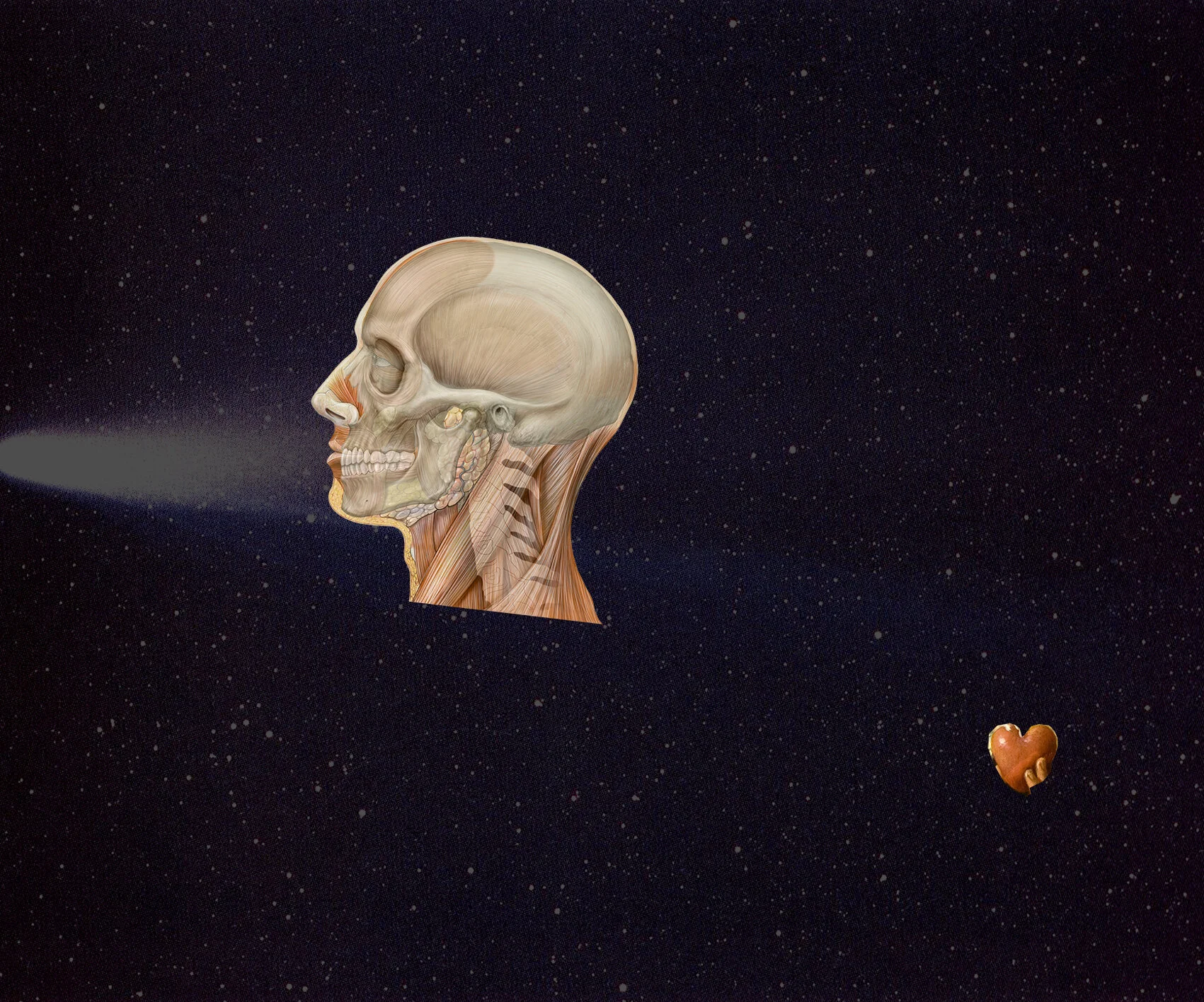  Digital Concept / Photo Collage 