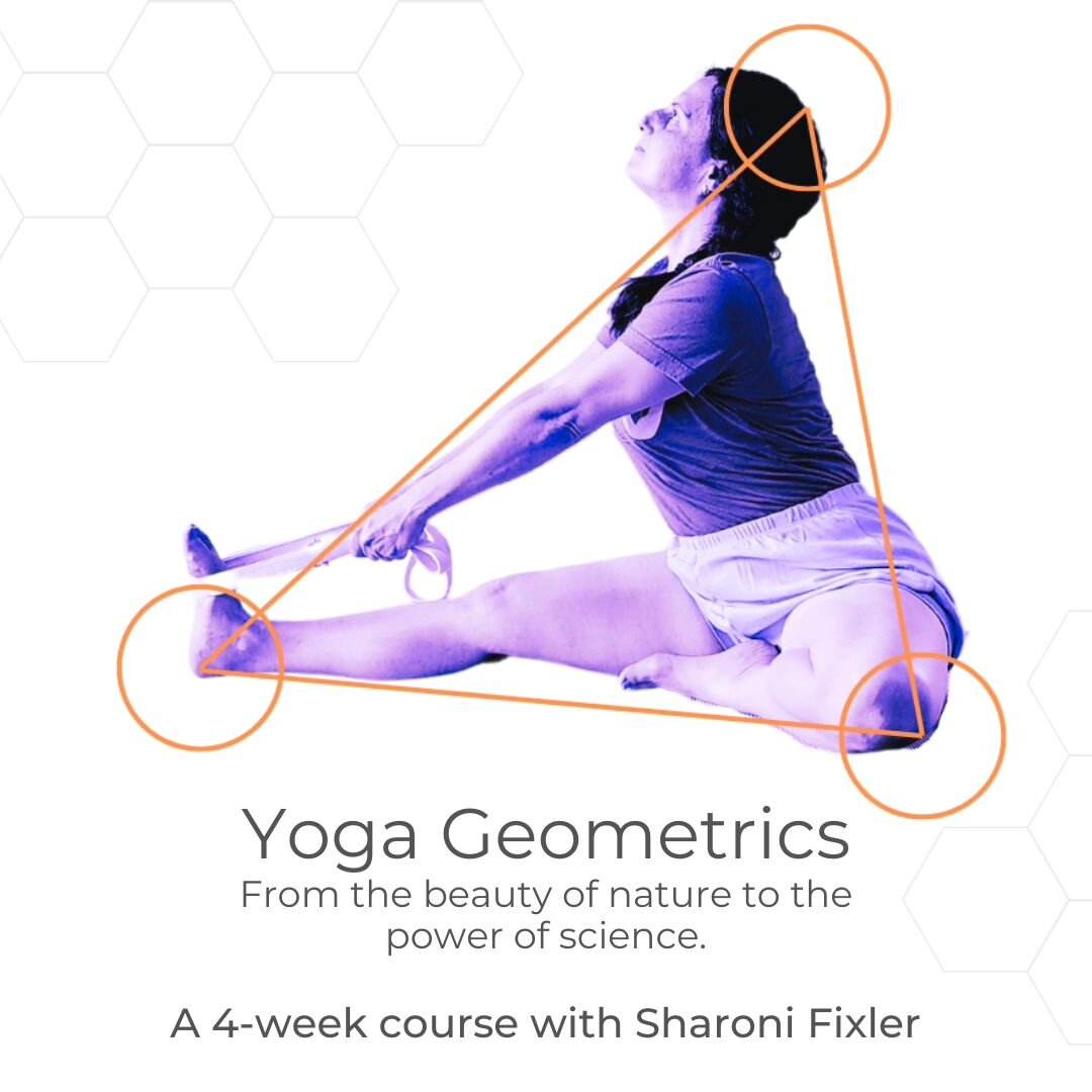 The essential shapes of yoga poses are harmonious structures, reflected in nature. We bring the body back toward its natural state of being and alignment. This includes the bones, muscles and organs. We create an inner atmosphere conducive to restora