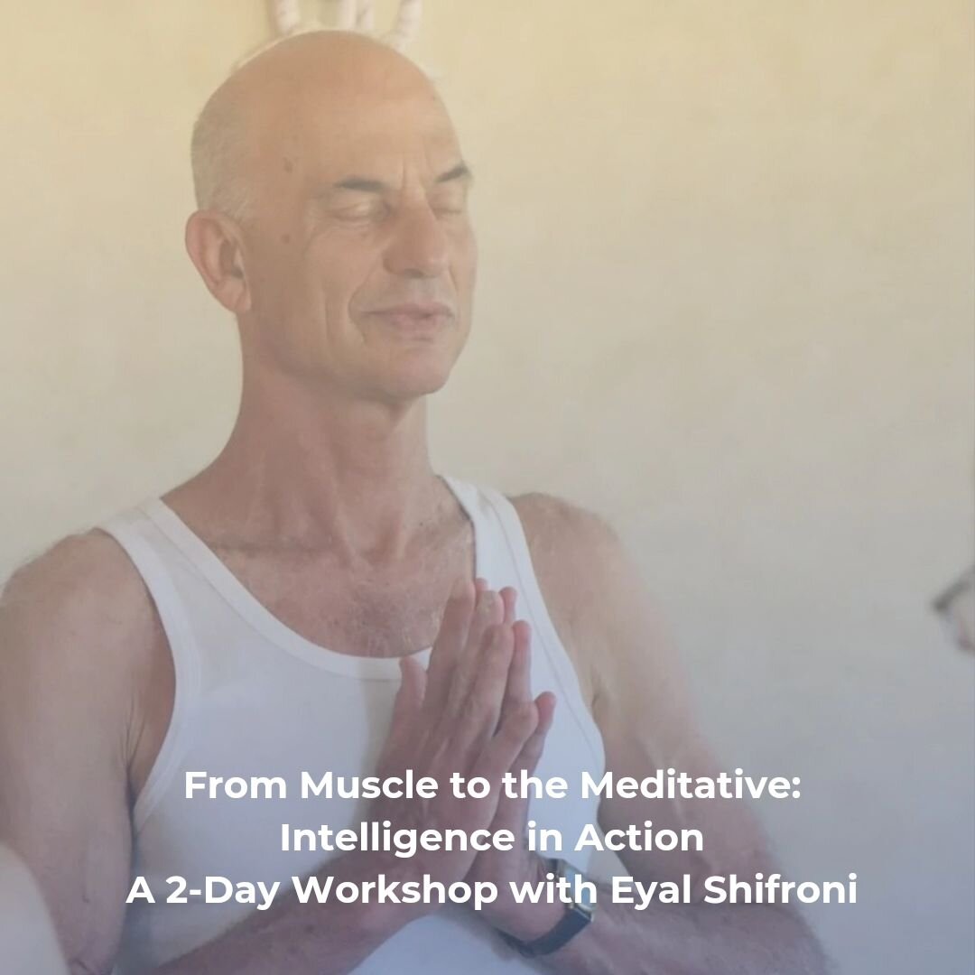 From Muscle to the Meditative:
Intelligence in Action

A 2-Day Workshop with Eyal Shifroni
Live from Israel

Investigate the functions of the yoga practice including:

✔desire, motivation, discipline and problem-solving
✔developing healthy posture th