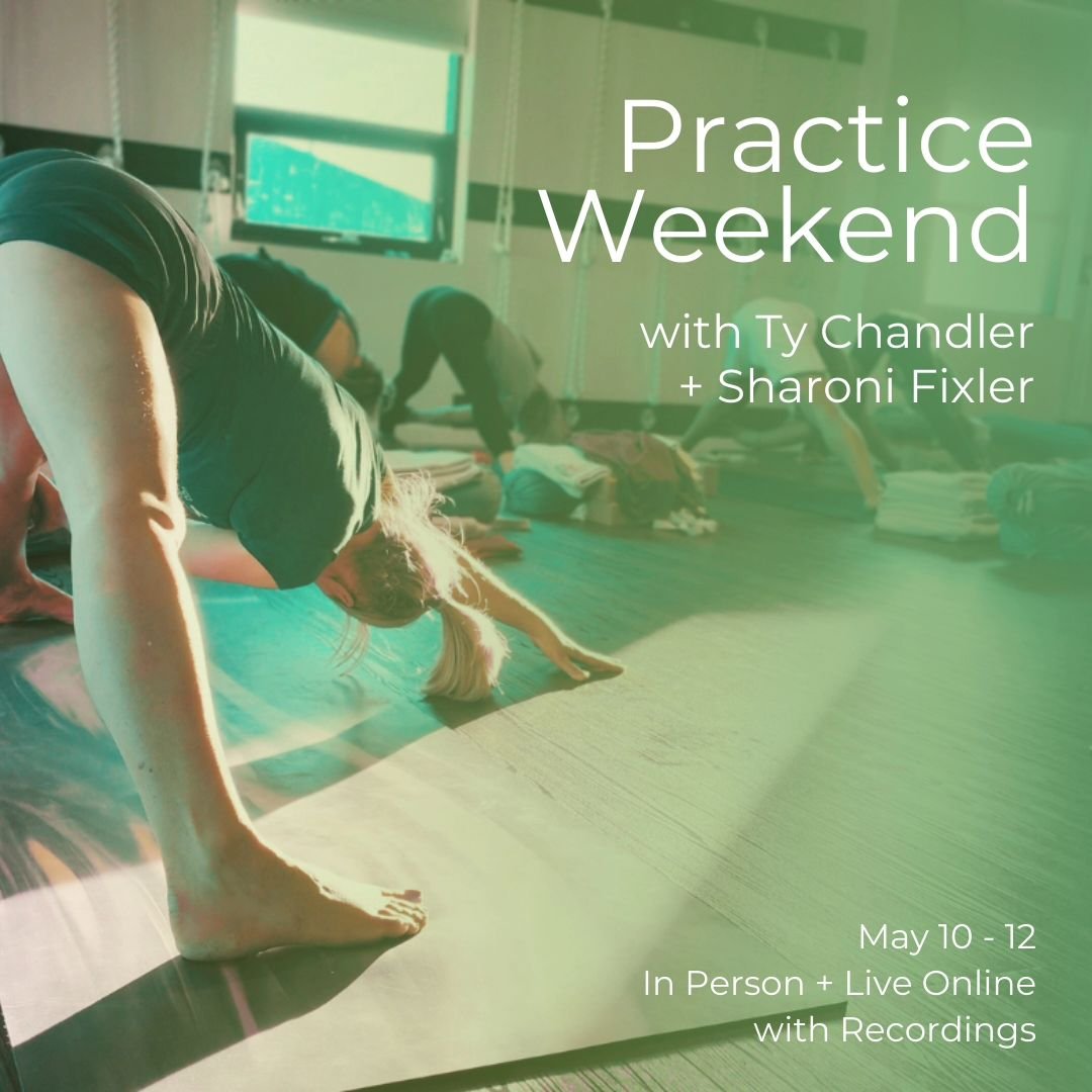 Practice Weekend with Ty Chandler + Sharoni Fixler

✨Restorative evening practice, morning openings with pranayama and energizing afternoon practice. 

Experience the transformation that this condensed style of practice offers.

Inspired by the work 