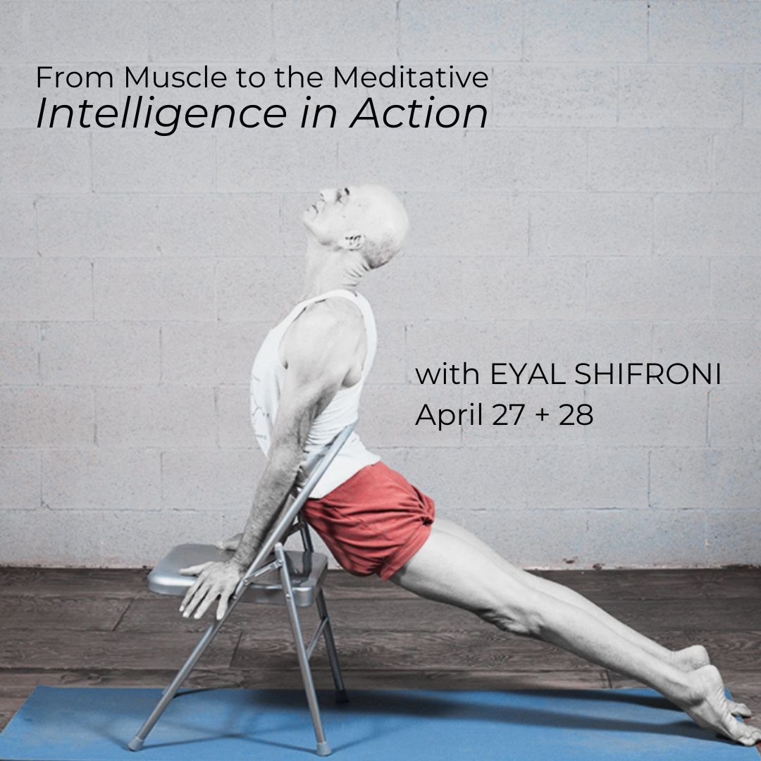 &quot;Each asana has five functions to perform. These are conative, cognitive, mental, intellectual and spiritual.&quot;
- BKS Iyengar

Don't miss this 2-day workshop with world-renowned teacher and author Eyal Shifroni to investigate the functions o