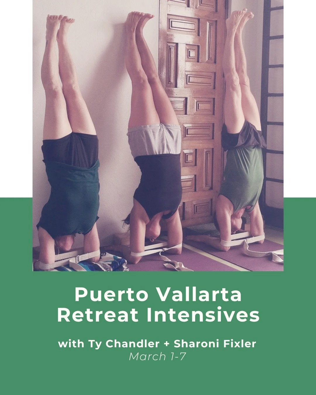 Puerto Vallarta Retreat Intensive with Ty Chandler &amp; Sharoni Fixler✨

🔗 Learn more via our IG bio link

🌴🌞 Join us for Level 2-3-4 Practice Intensive
Monday, March 2 - Saturday, March 7

Experience the transformation 🦋
Sustained practice, seq