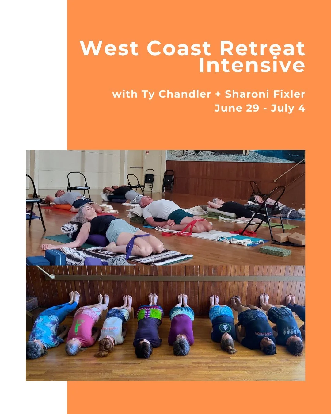 In these retreat intensives, we aim to create a daily structure with high-quality Iyengar instruction in a supportive atmosphere.

The week is thoughtfully sequenced to open the body, steady the nervous system and deepen awareness through sustained p