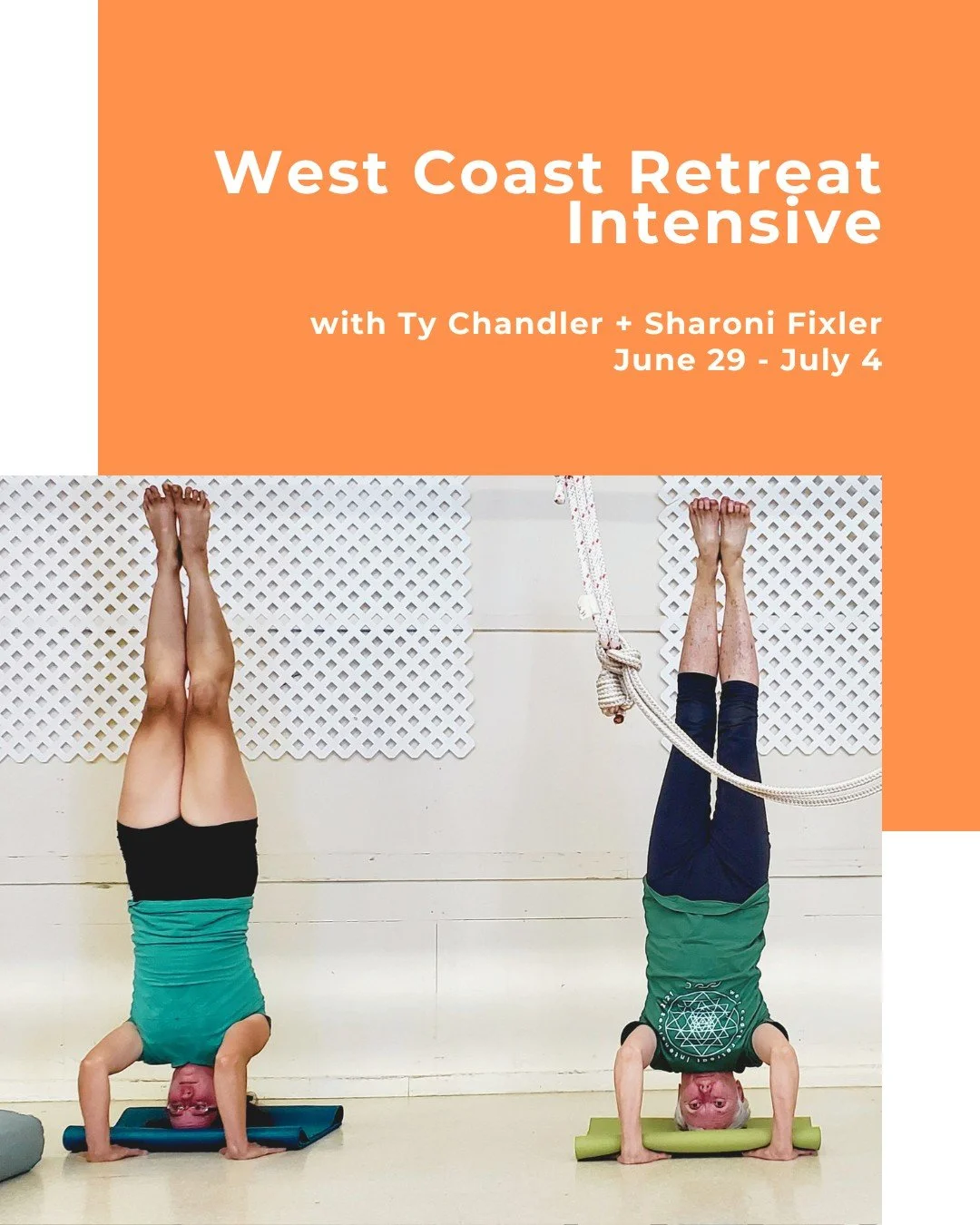 In these retreat intensives, we aim to create a daily structure with high-quality Iyengar instruction in a supportive atmosphere.

The week is thoughtfully sequenced to open the body, steady the nervous system and deepen awareness through sustained p