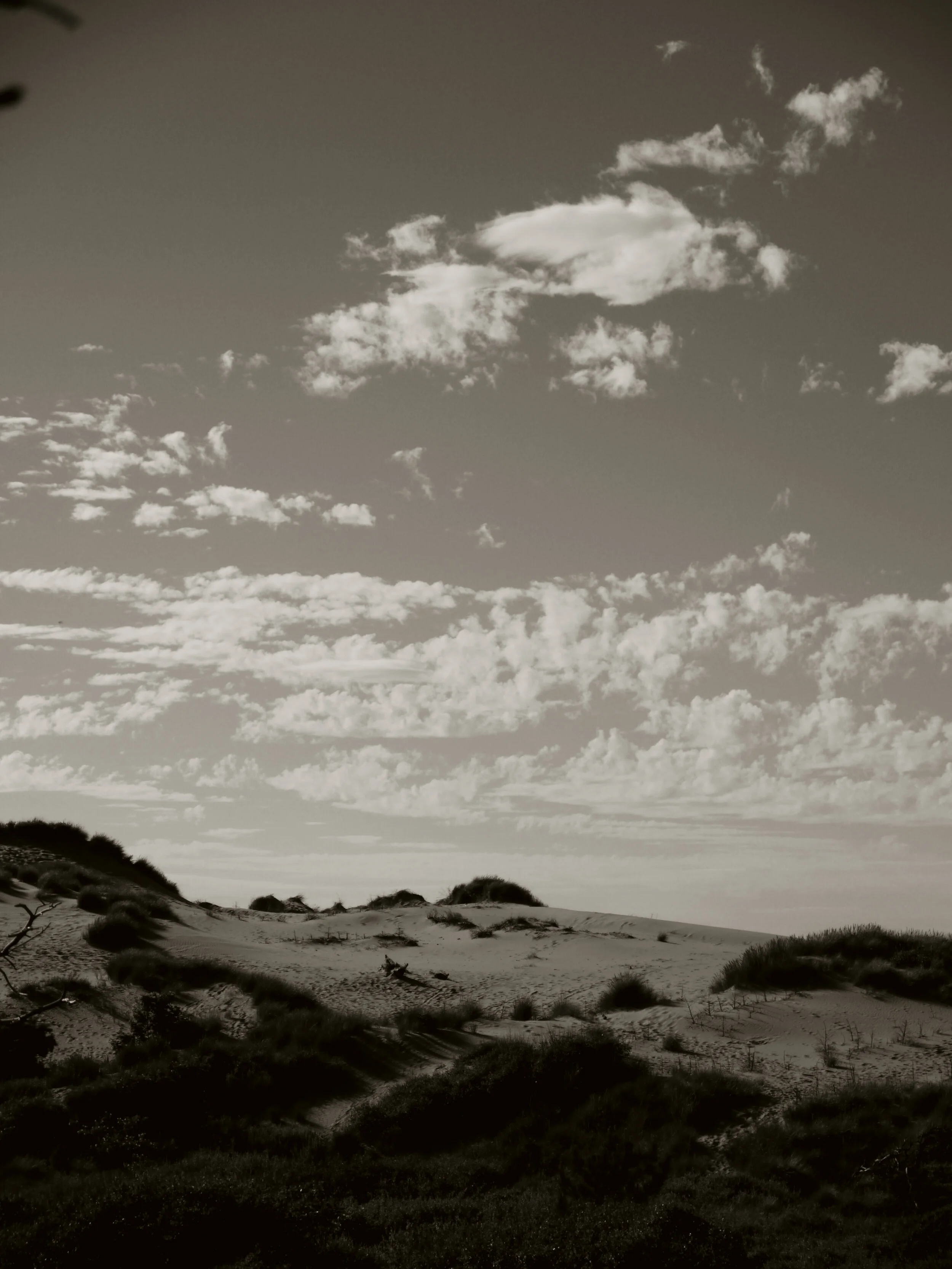 Formby 30.jpg