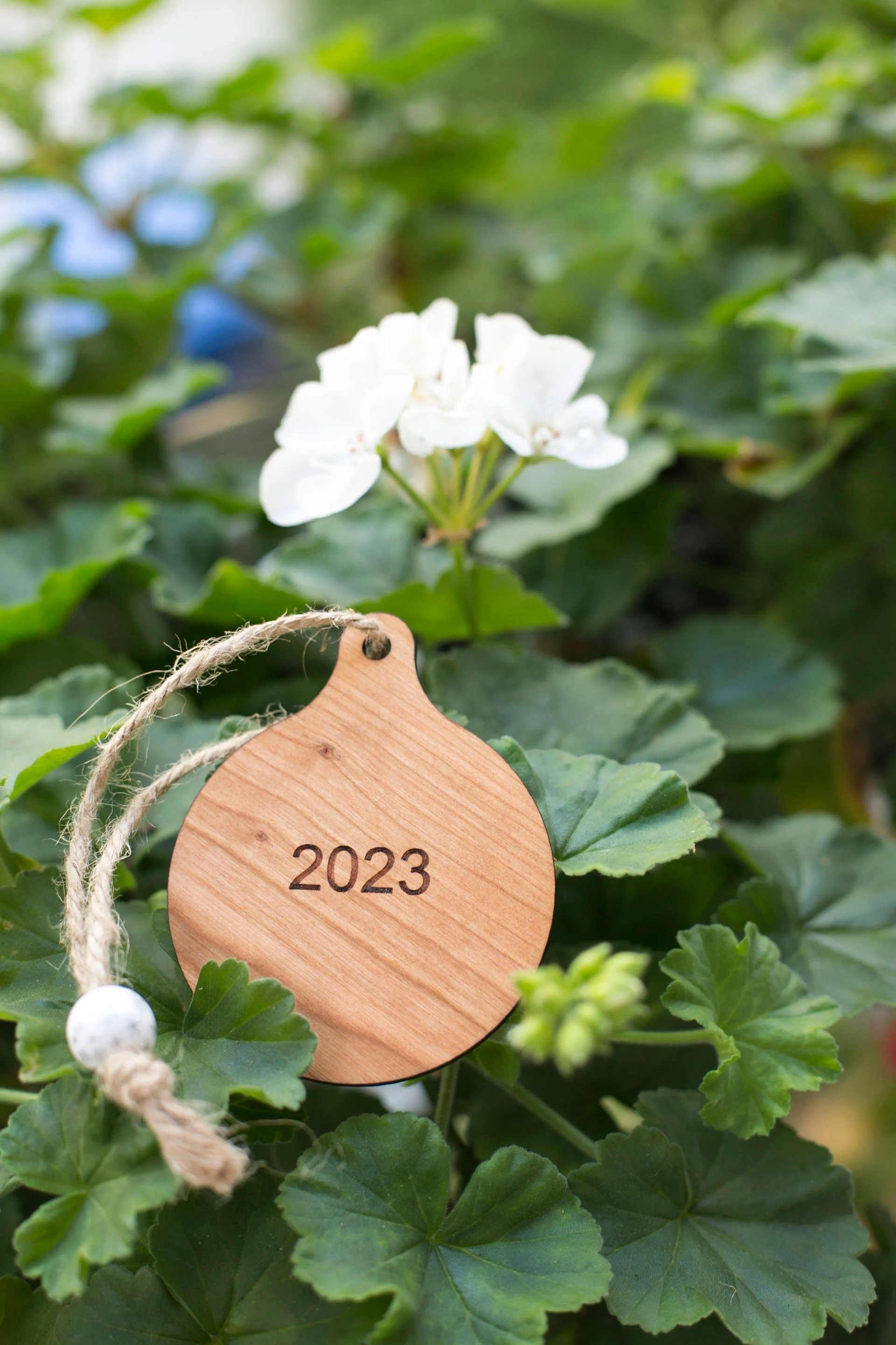 https://i.etsystatic.com/38917281/r/il/eb71d8/5279071386/il_fullxfull.5279071386_ju1i.jpg