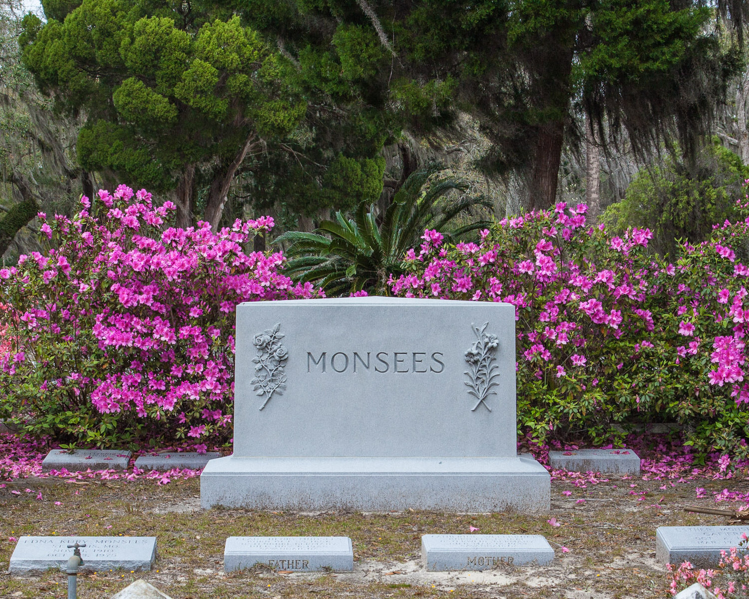 130226-Savannah Oak and Cemetery-0438.jpg
