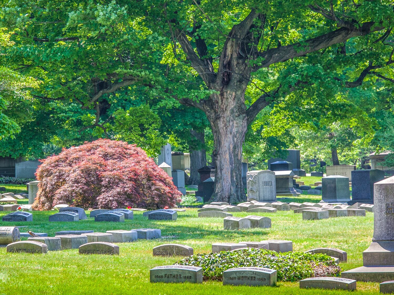 family groups modern Lakeview Cemetery landscape