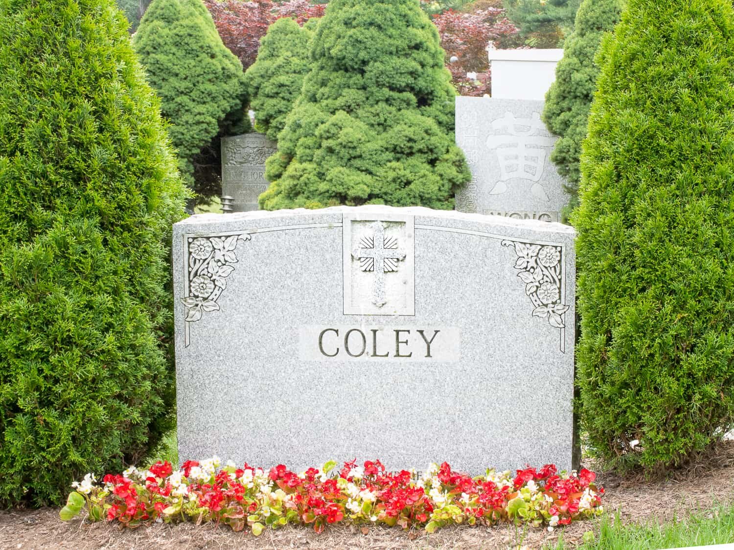 Coley modern tombstone with begonias and yews
