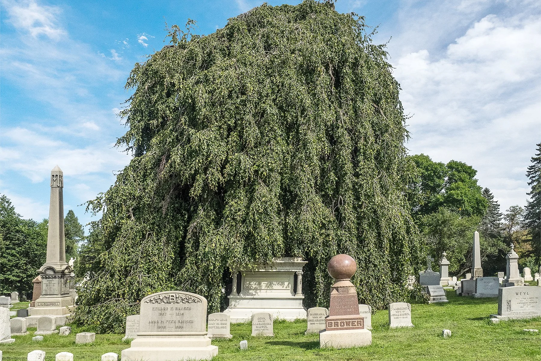 1-Mt Hope.jpg