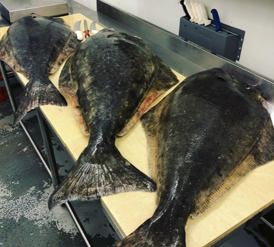Halibut for home delivery — Wulf's Fish