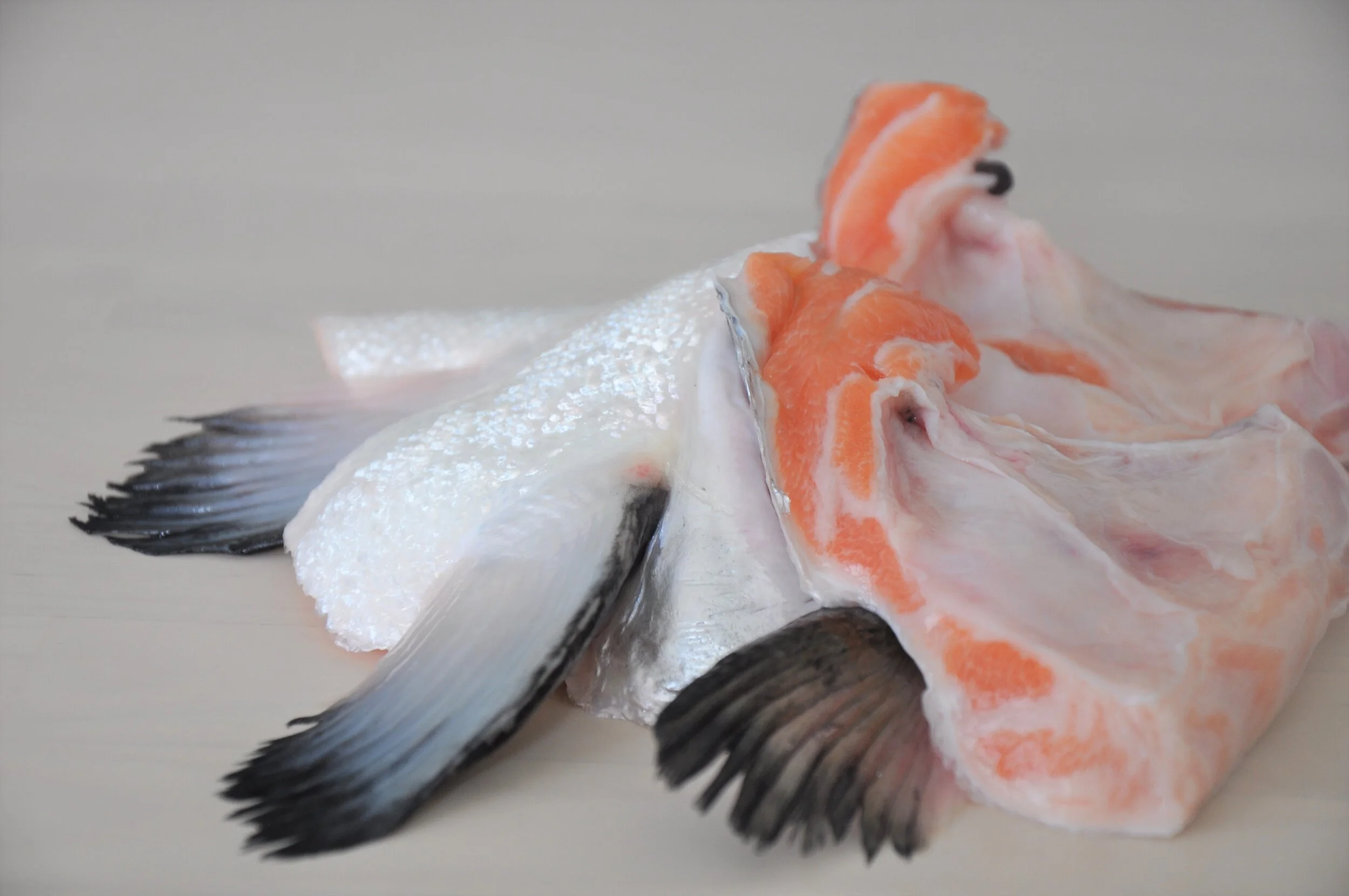 Chefs at Home Candied Spiced Nordic Blu Salmon Collars — Wulf's Fish