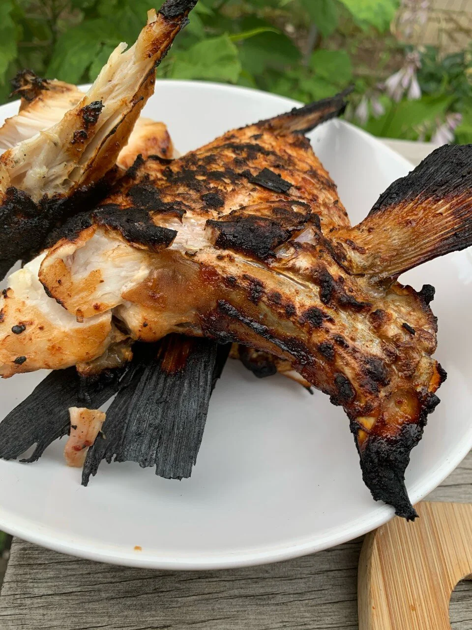 Wulf's Kitchen Grilled Striped Bass Fillets and Collars with Cabbage