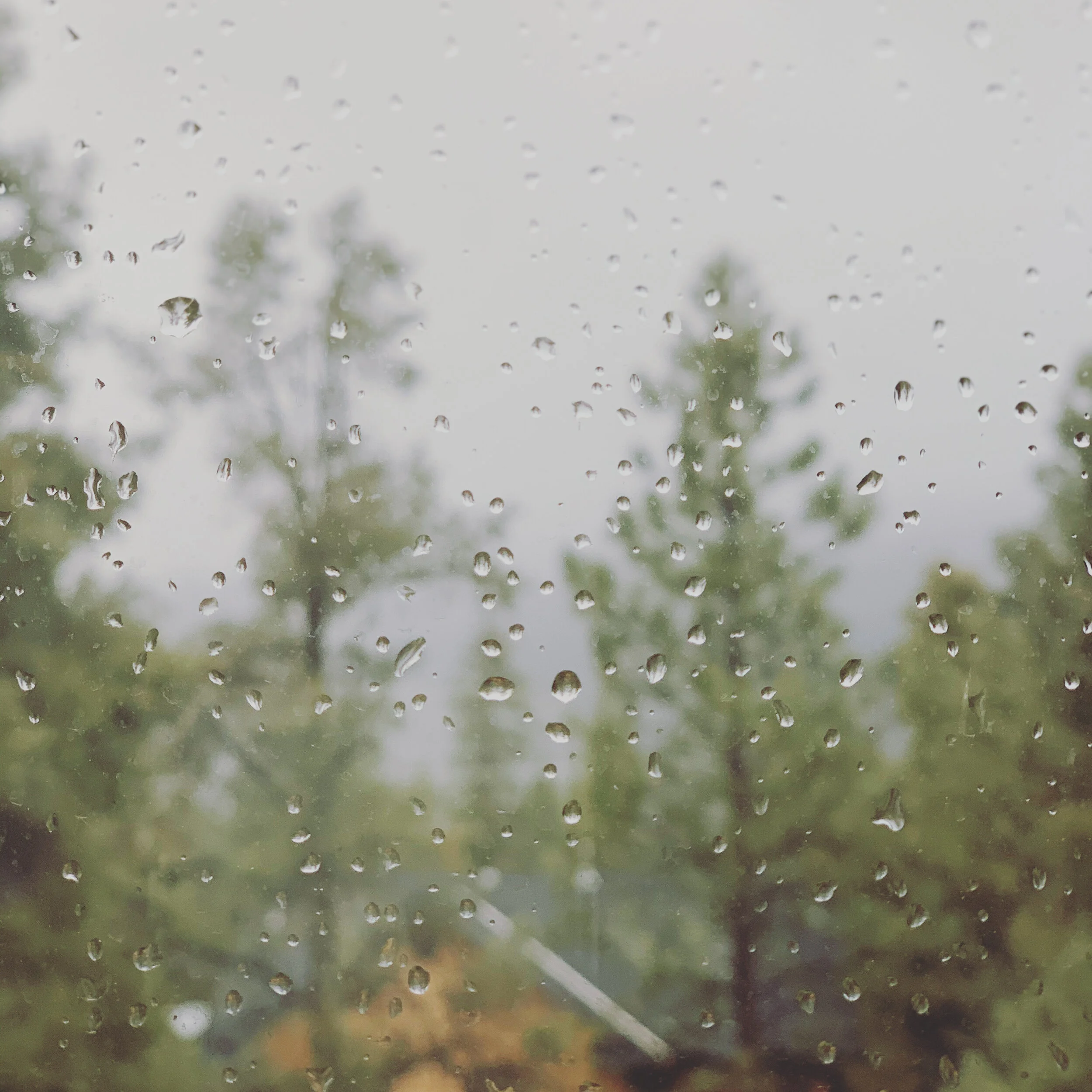Ten Thousand Joys and Sorrows