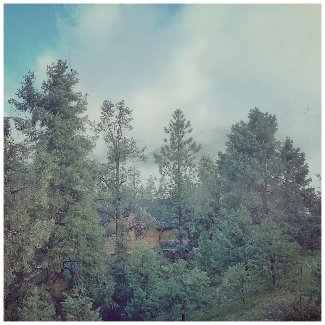 View from My Window