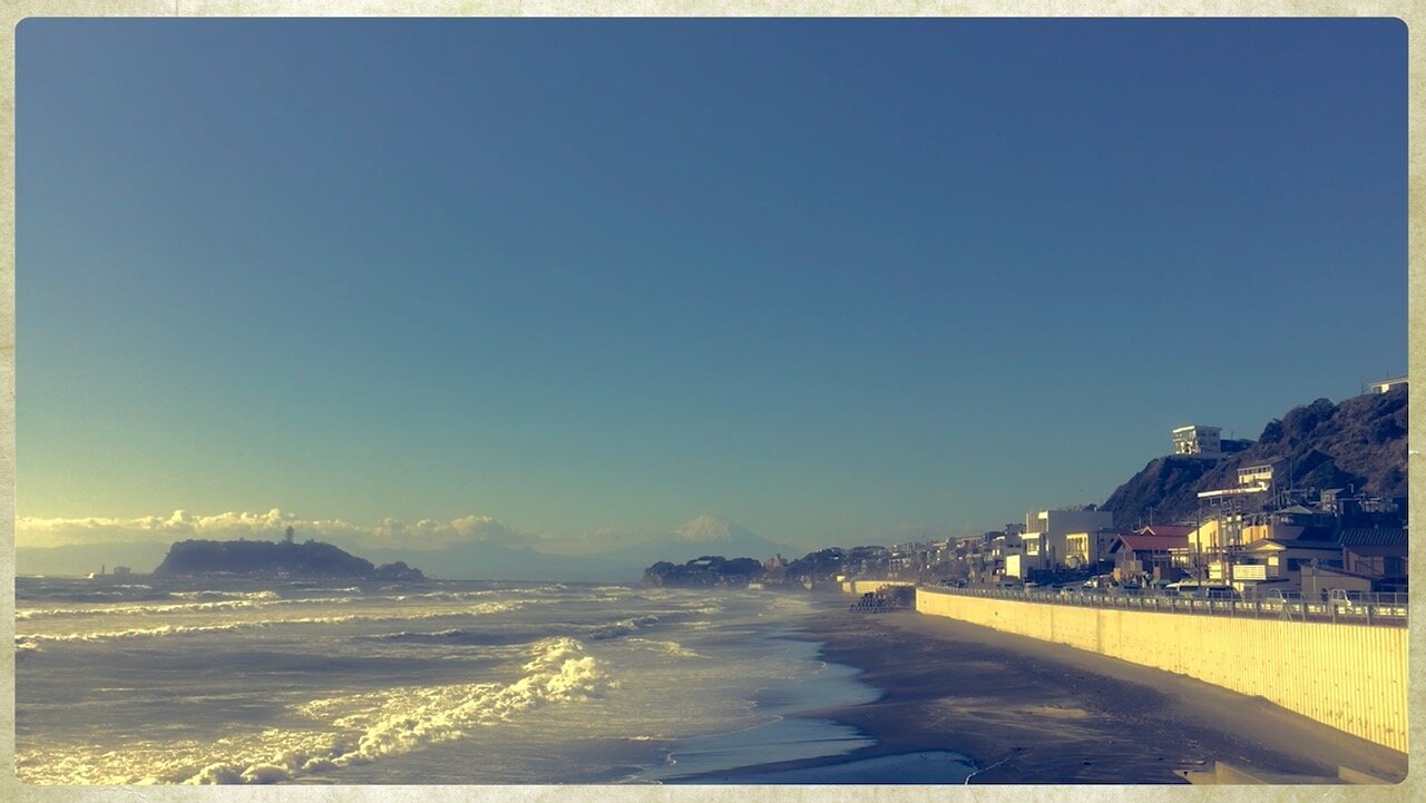 The 40th Year in America