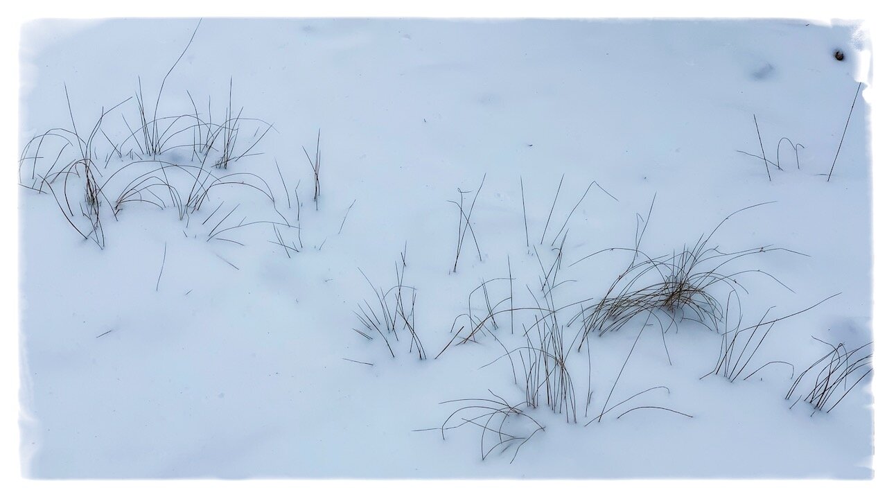 Asian Daughter's Guilt