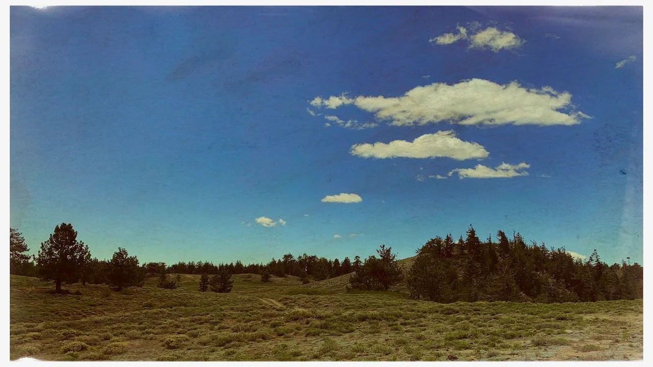 Best Remedy for a Sapped Soul