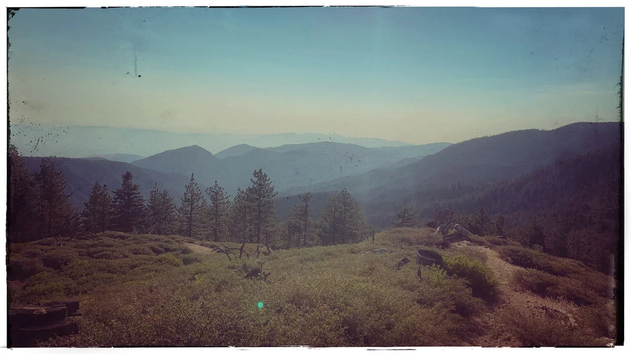 Taking Care of The Earth