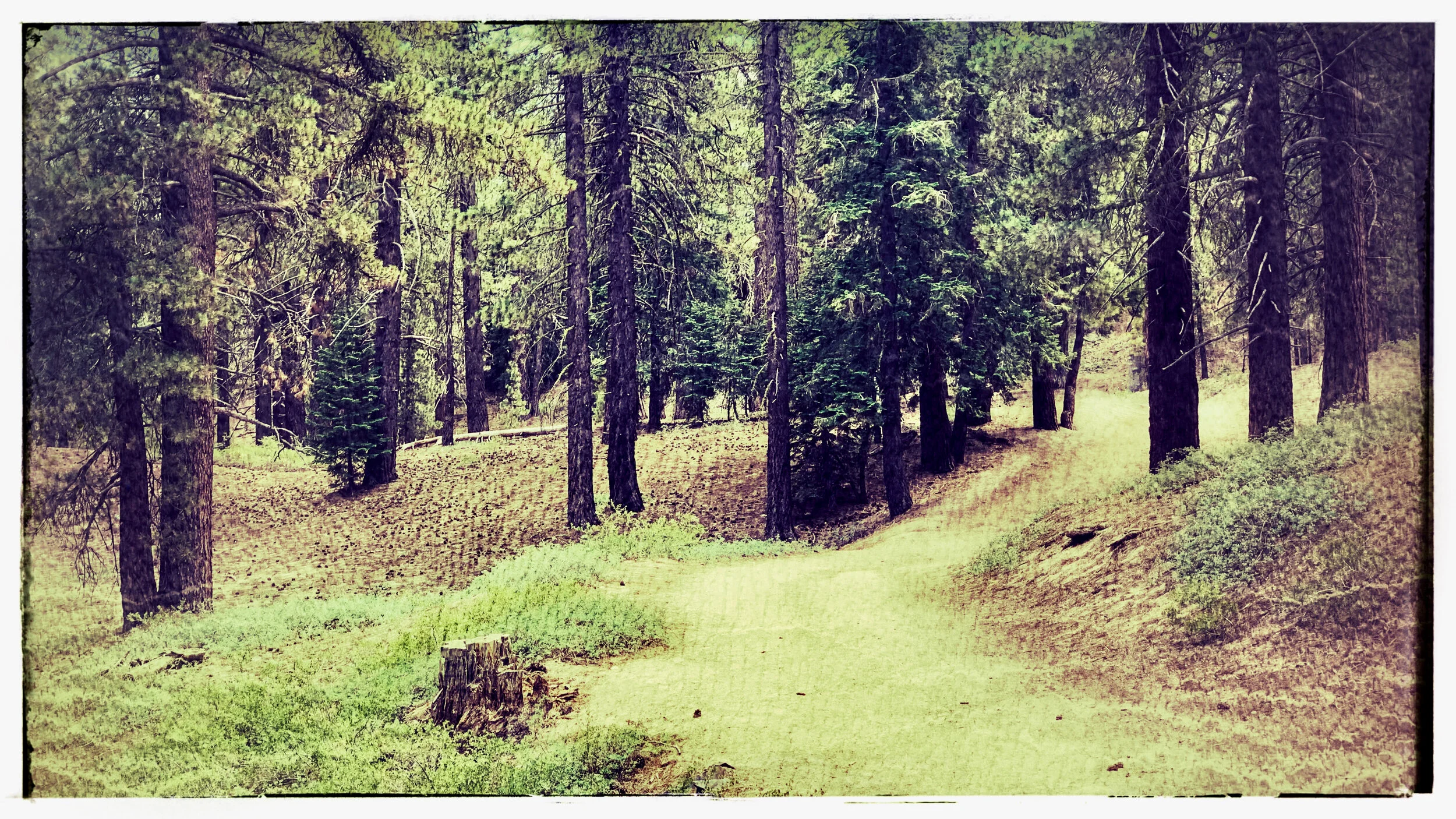 Where Do We Go From Here?