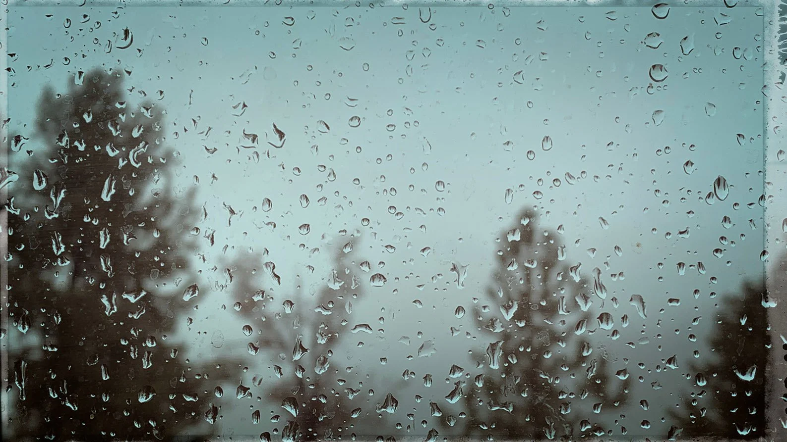 Sound of the First Rain