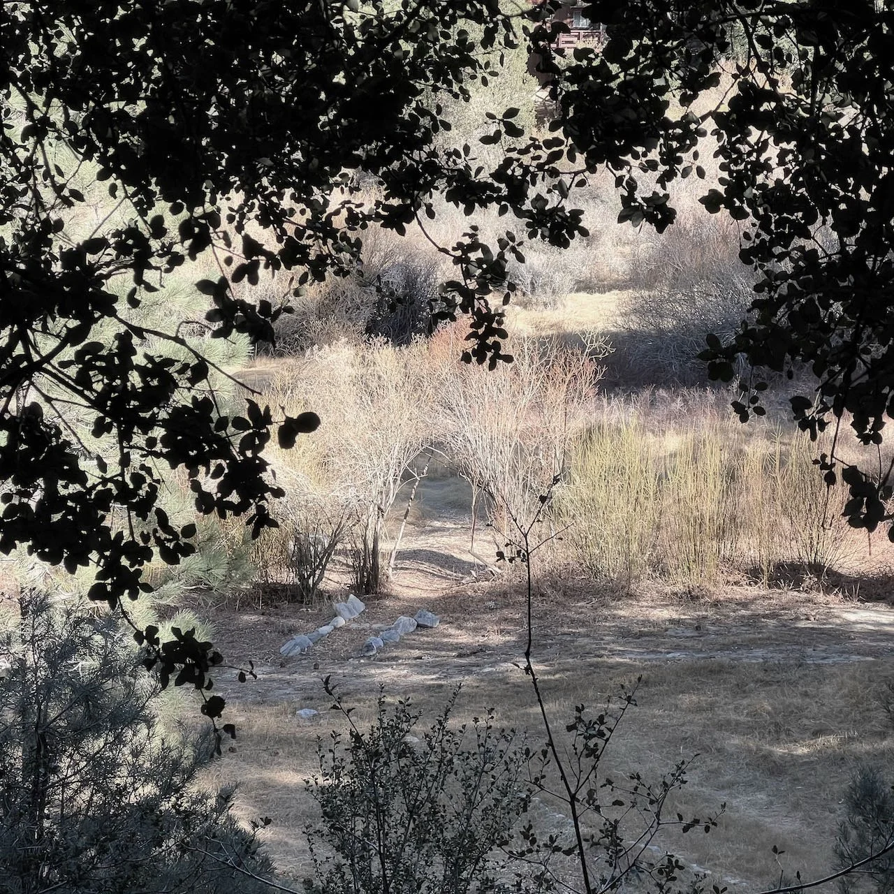 The Path Less Traveled