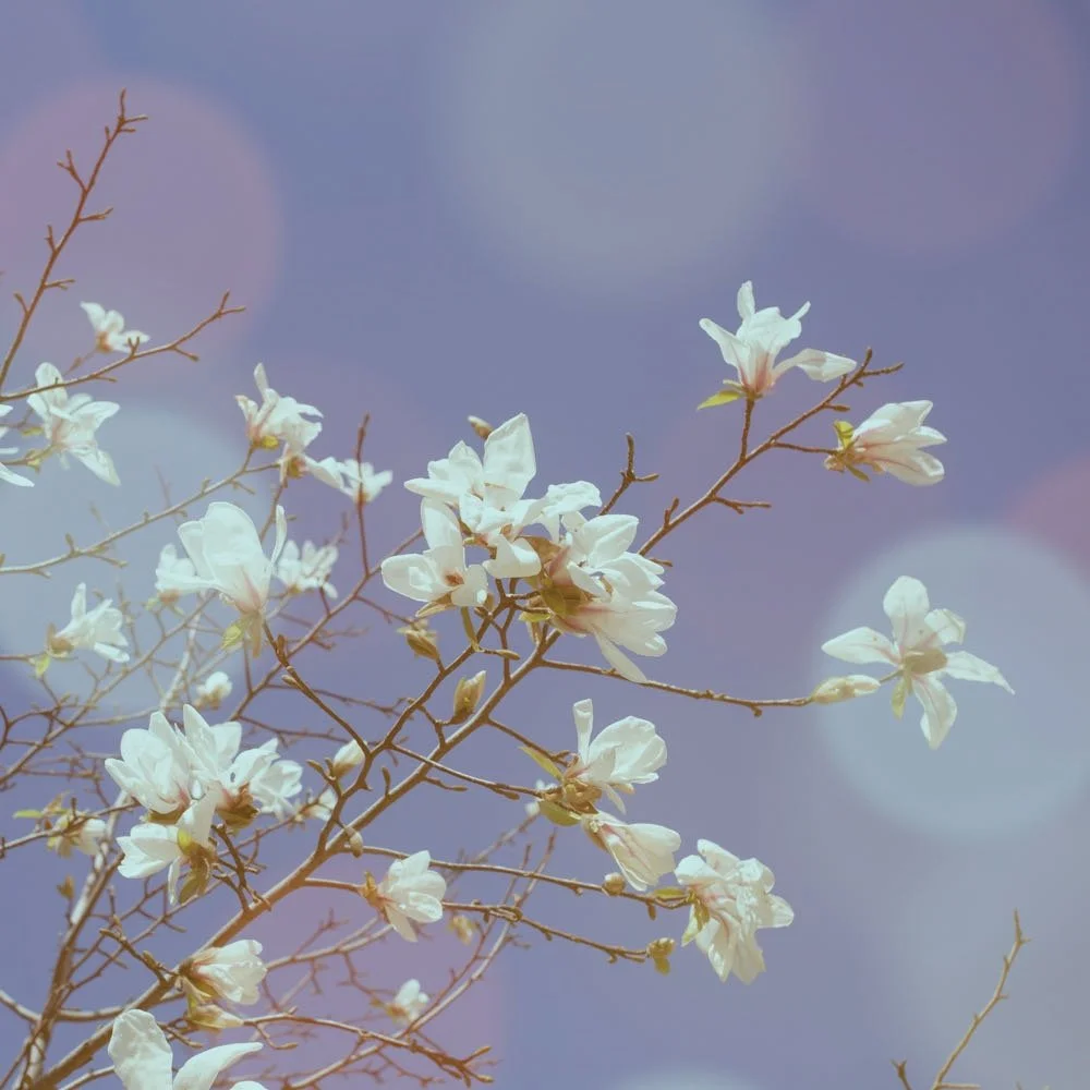 Energized, Relaxed and Balanced