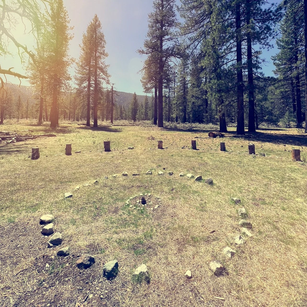 Circle of Gratitude
