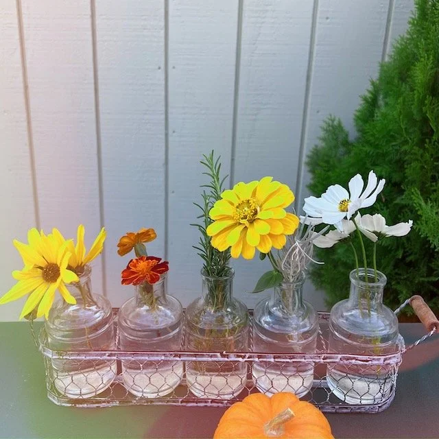 My Want-to-be-green Thumb