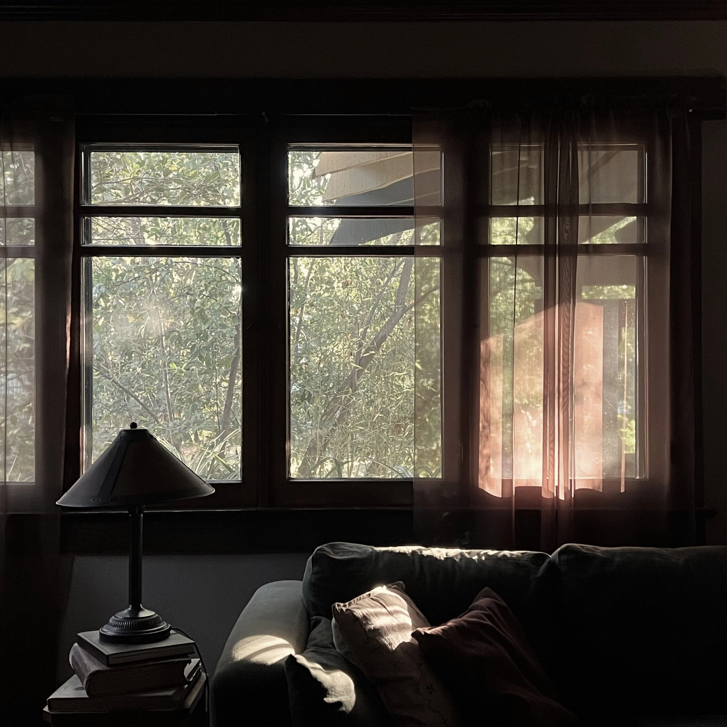 Ikigai and Right Livelihood