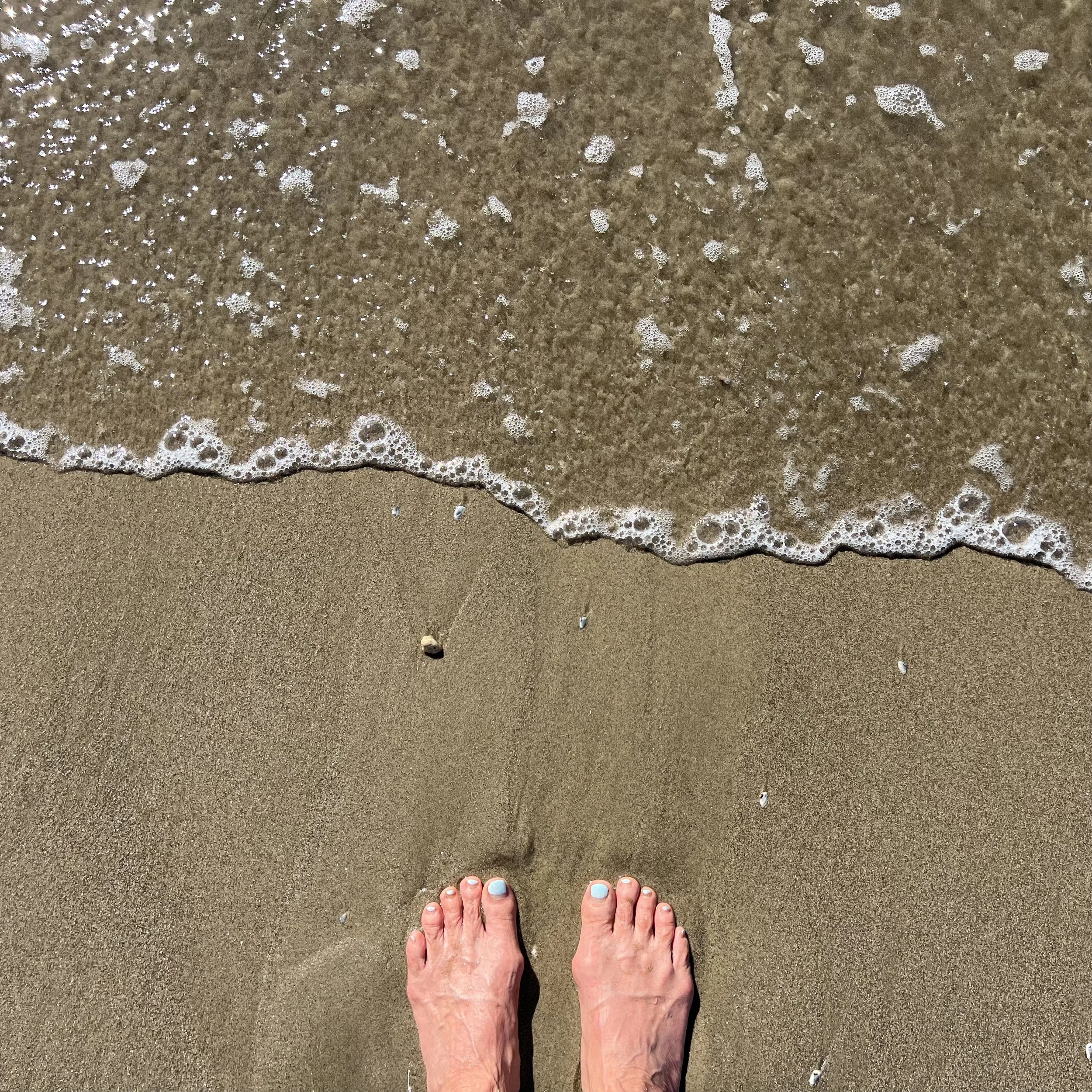 Season of Gratitude