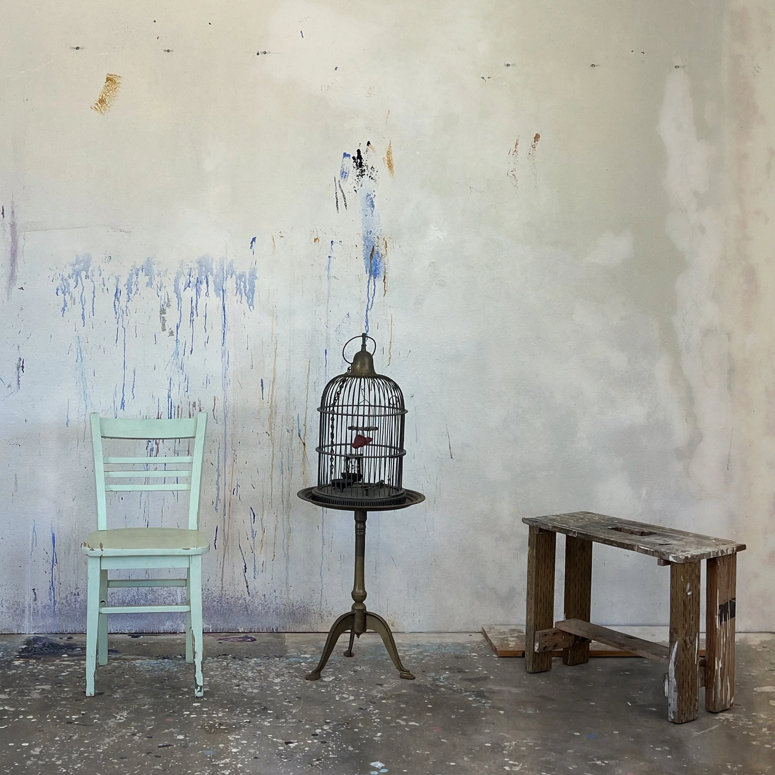 Mindfulness Self-Compassion