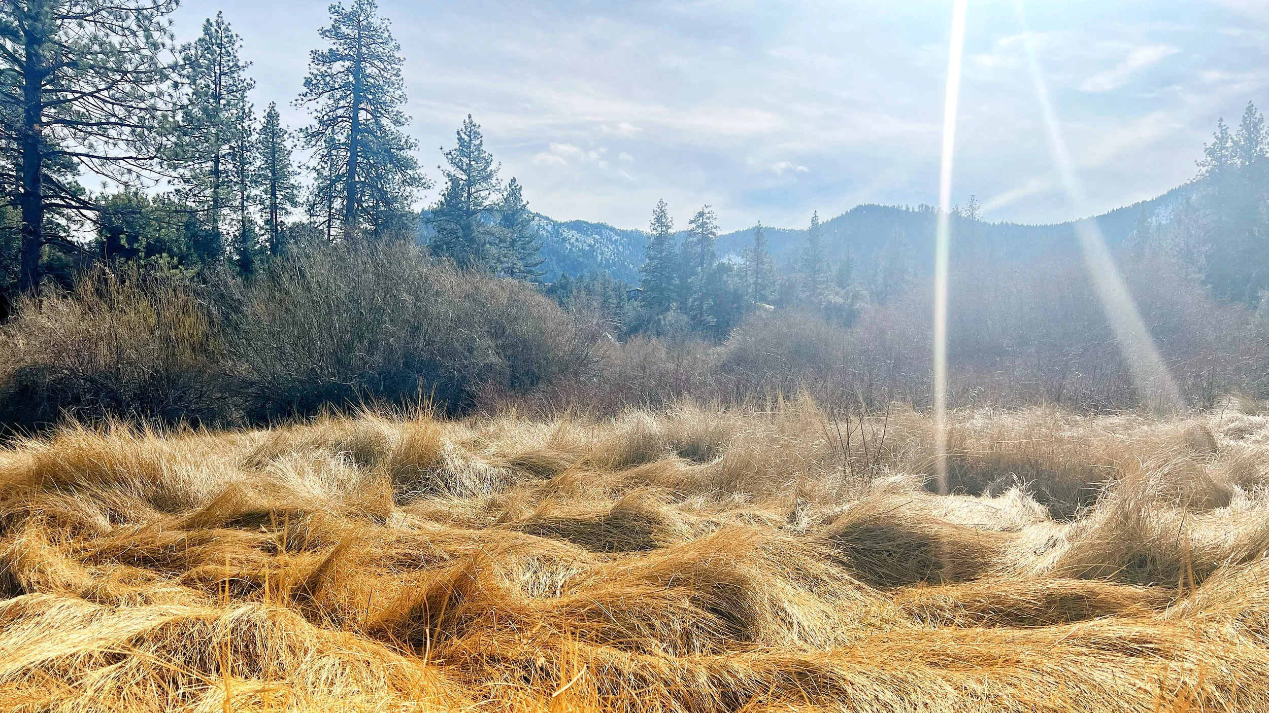 Season Between Rain and Bloom