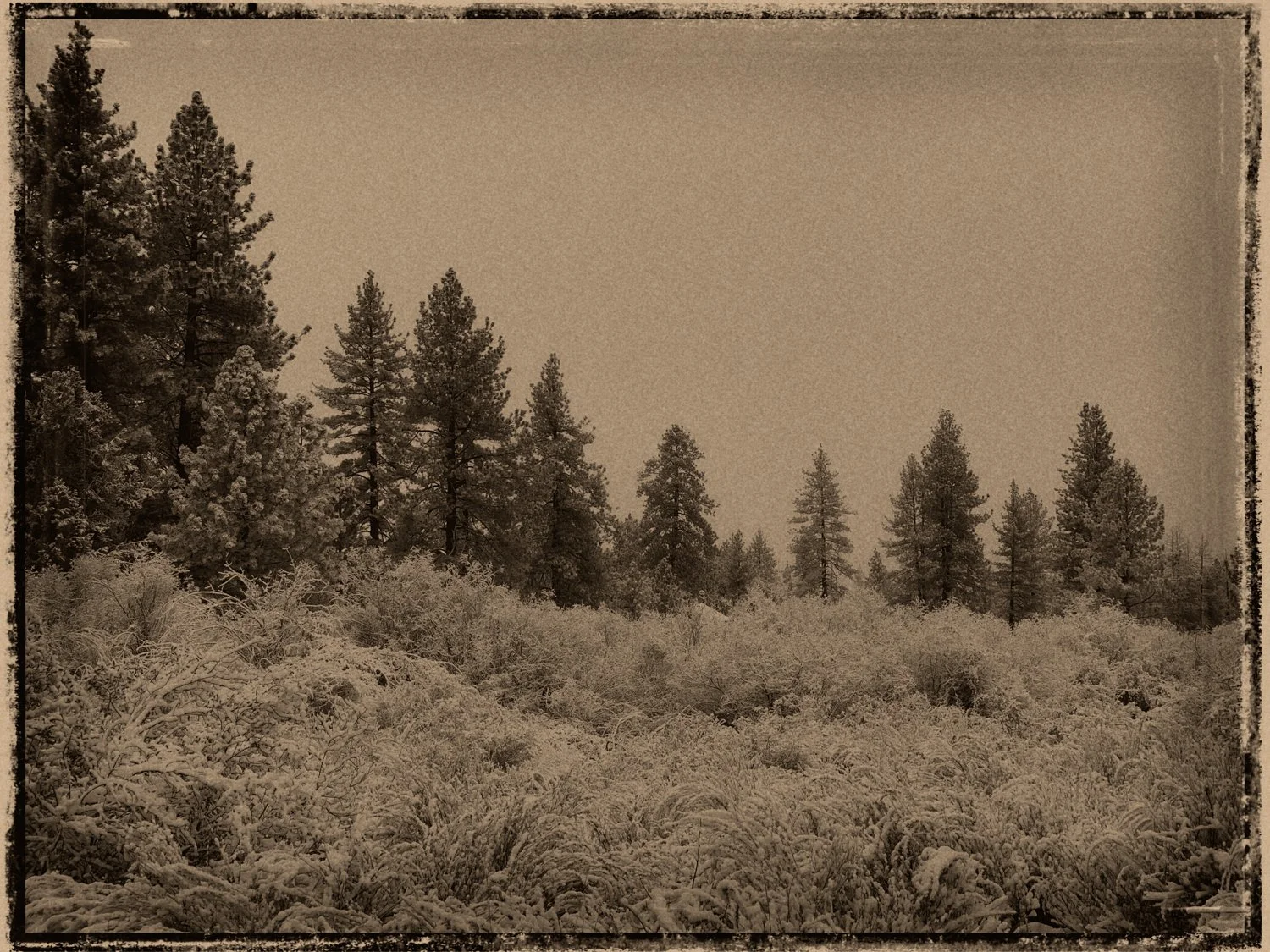 The Knock That Changed My Life