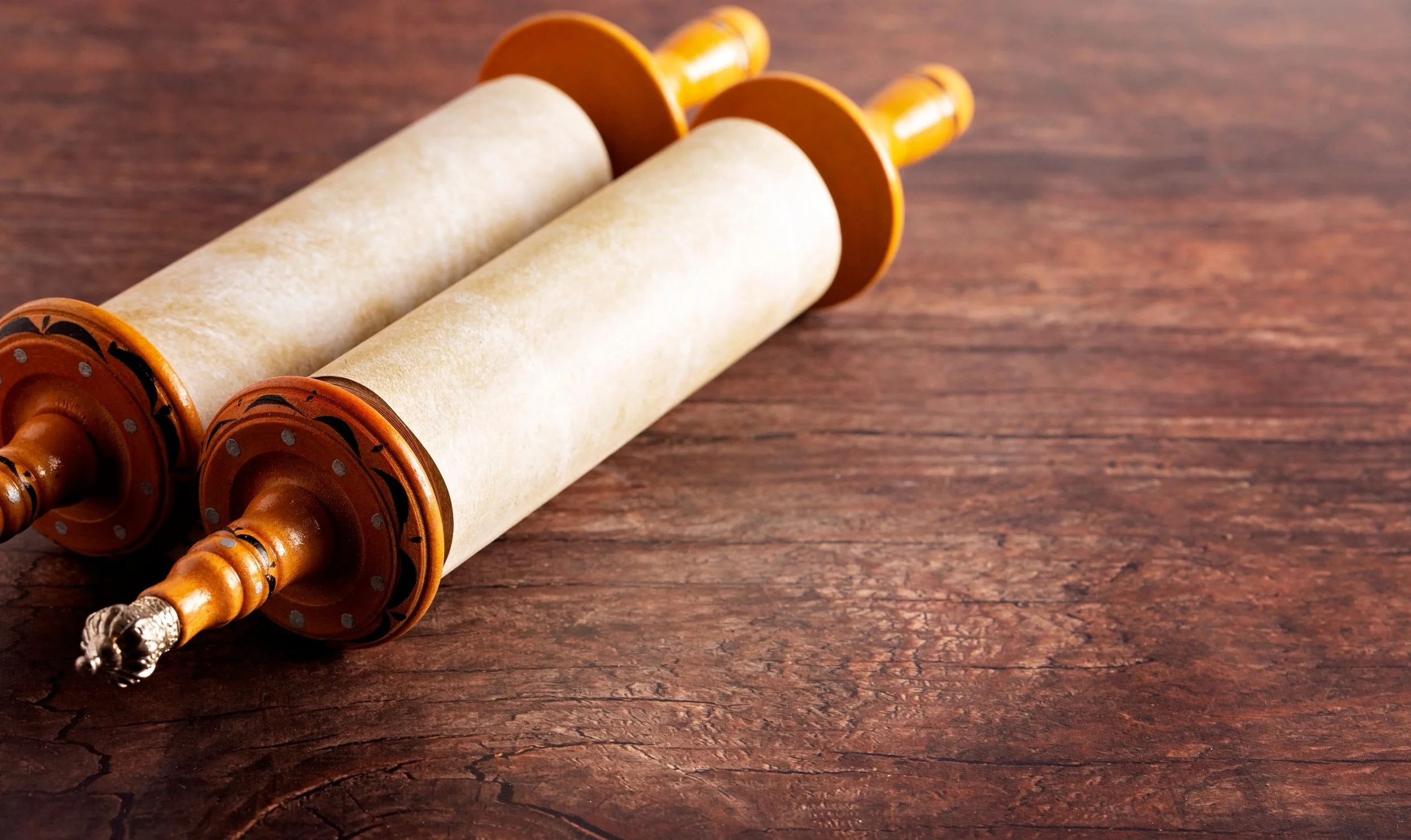 Torah service with Rabbi Rob Kvidt — November 14th