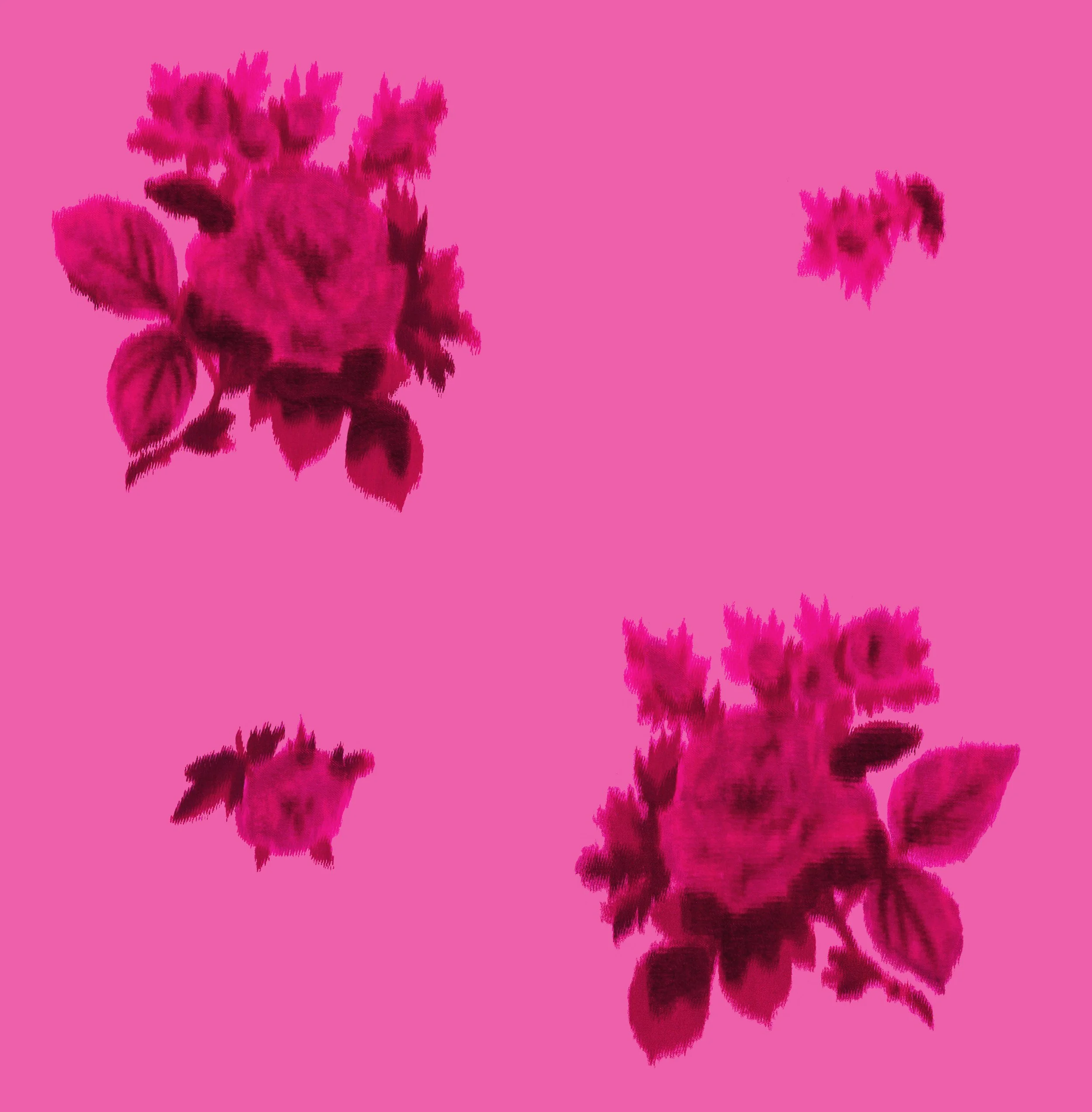 RENAISSANCE RAINFALL_RASPBERRY ROSE.jpg