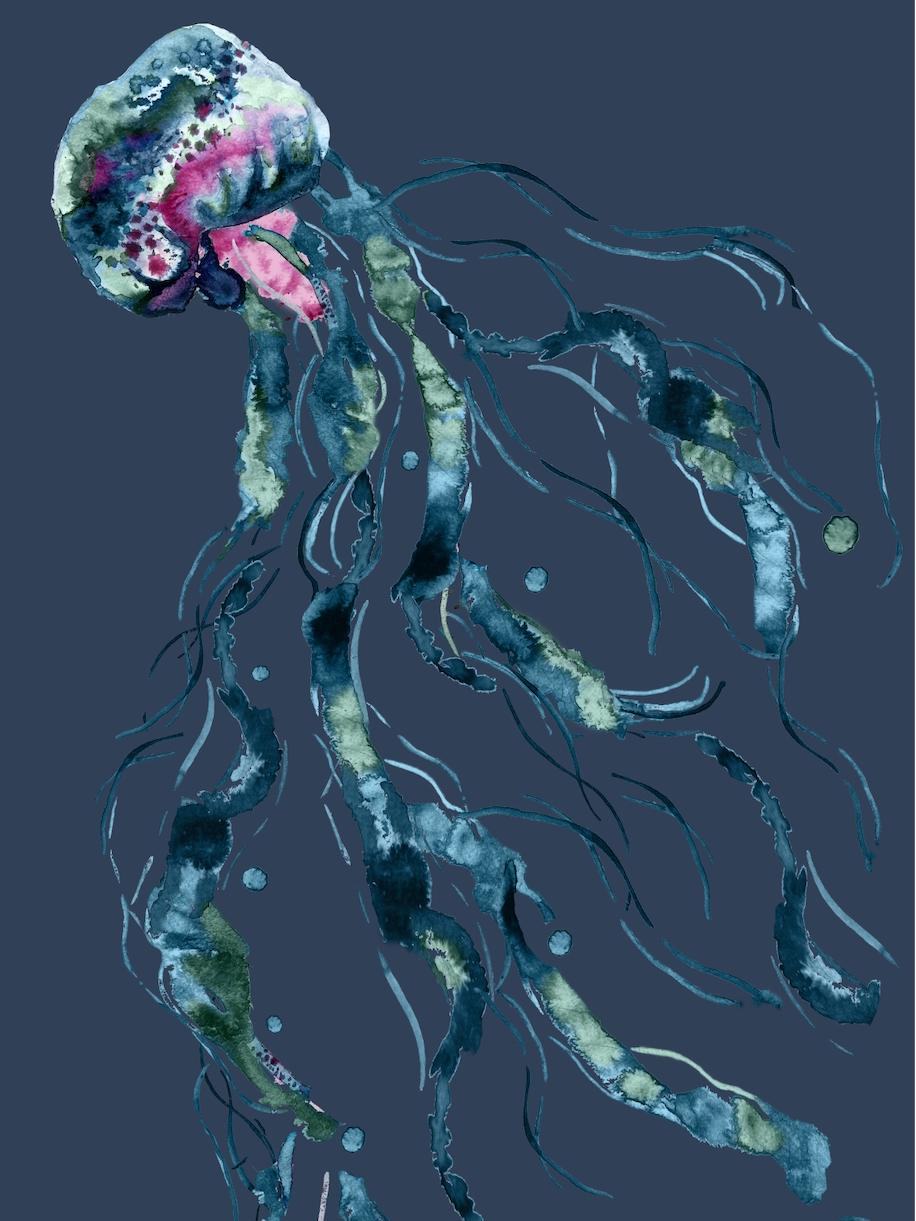 Screenshot+2026-07-31+at+5.01.26%E2%80%AFPM.png
