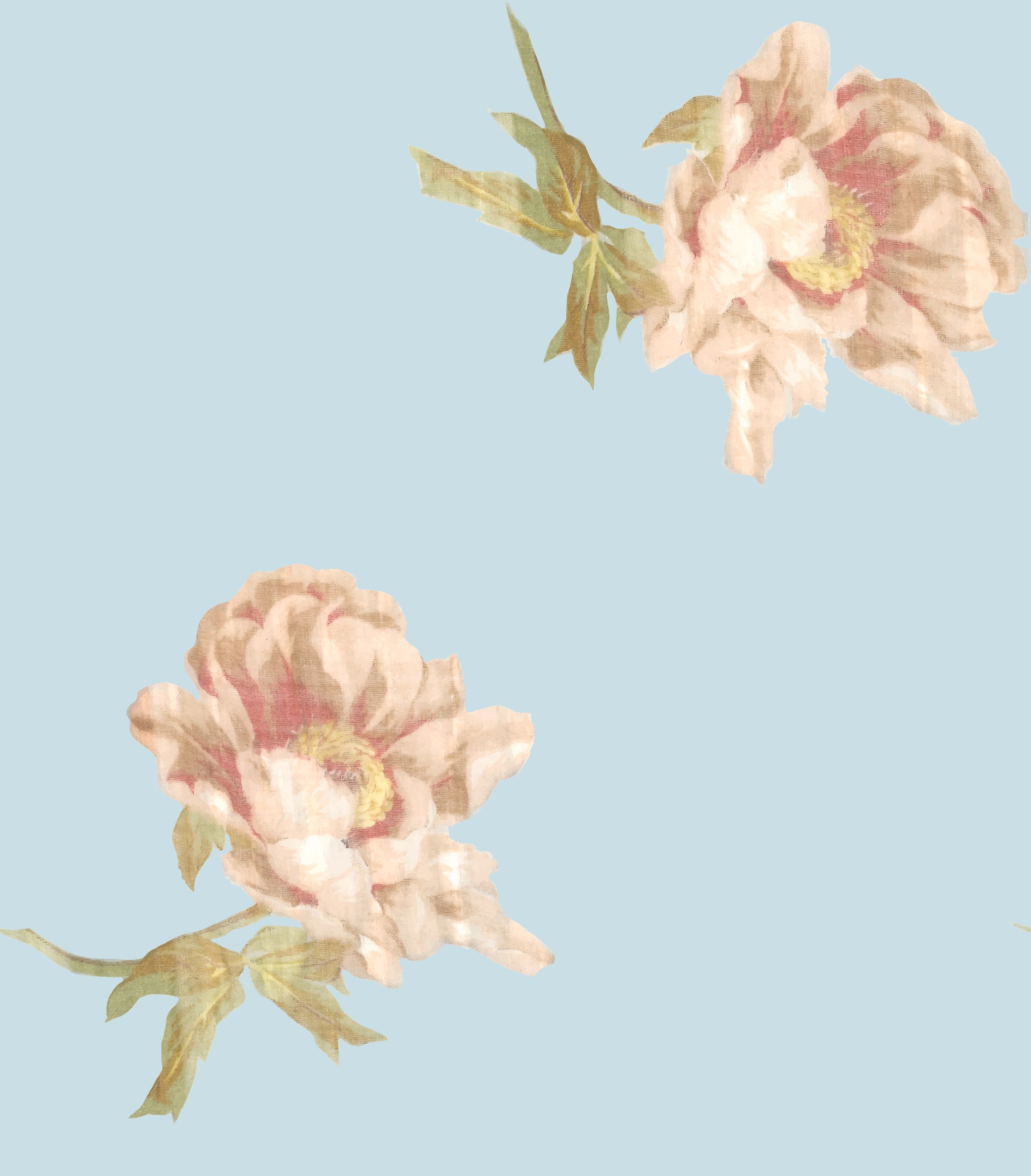 SUNDOWN PEONIES_RUSTIC SKY.jpg