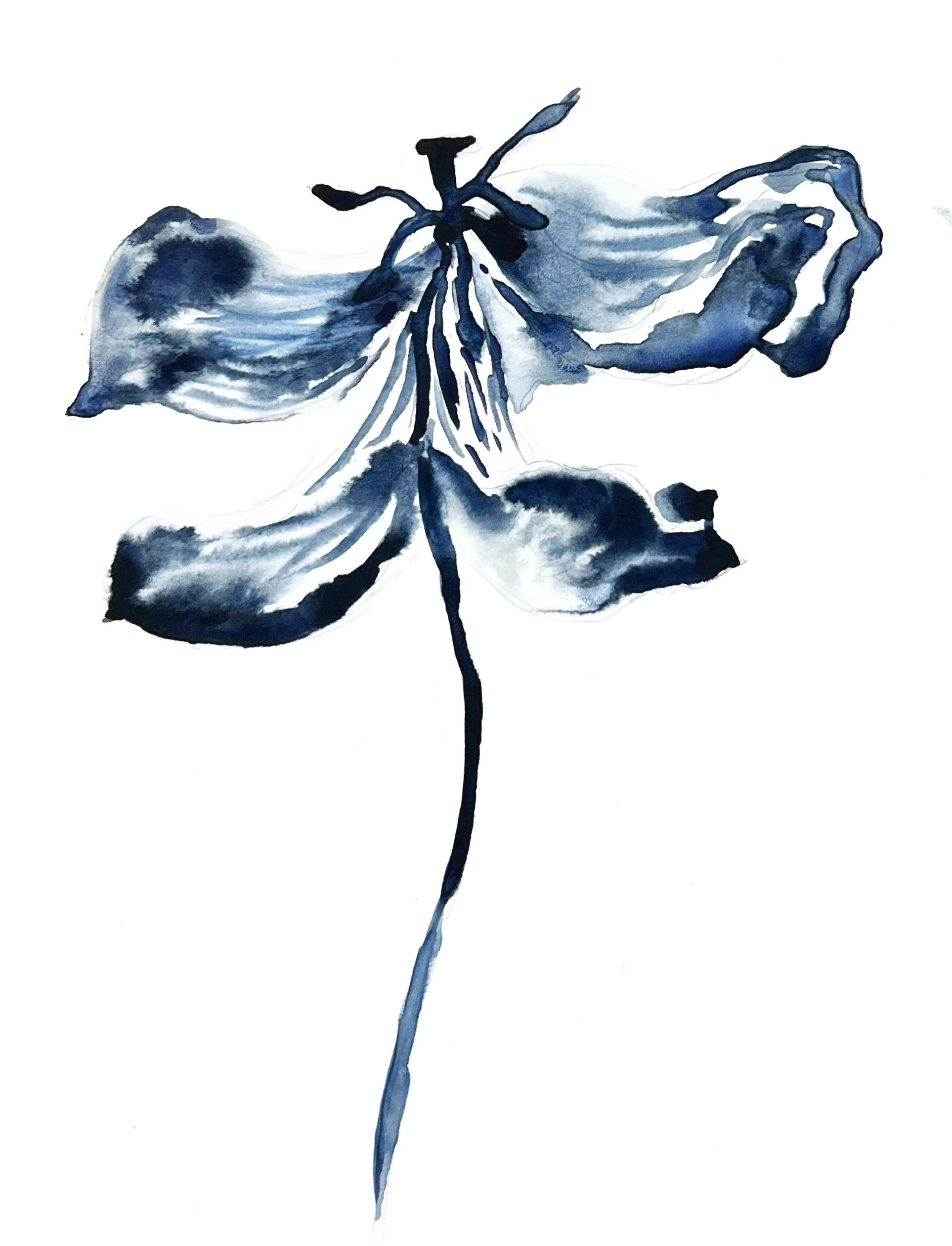 XRAY-MOTIF3 copy.jpg