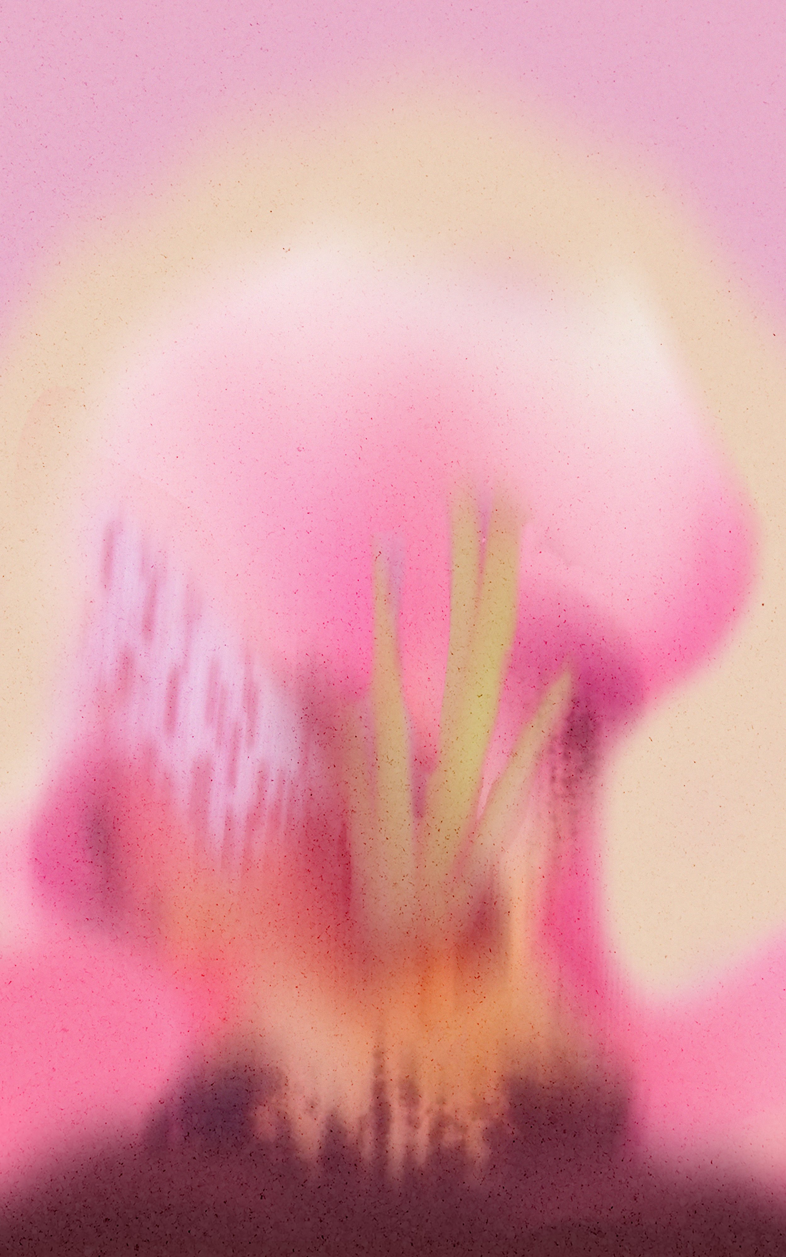 FLOWER AURA 4-4 copy.jpg