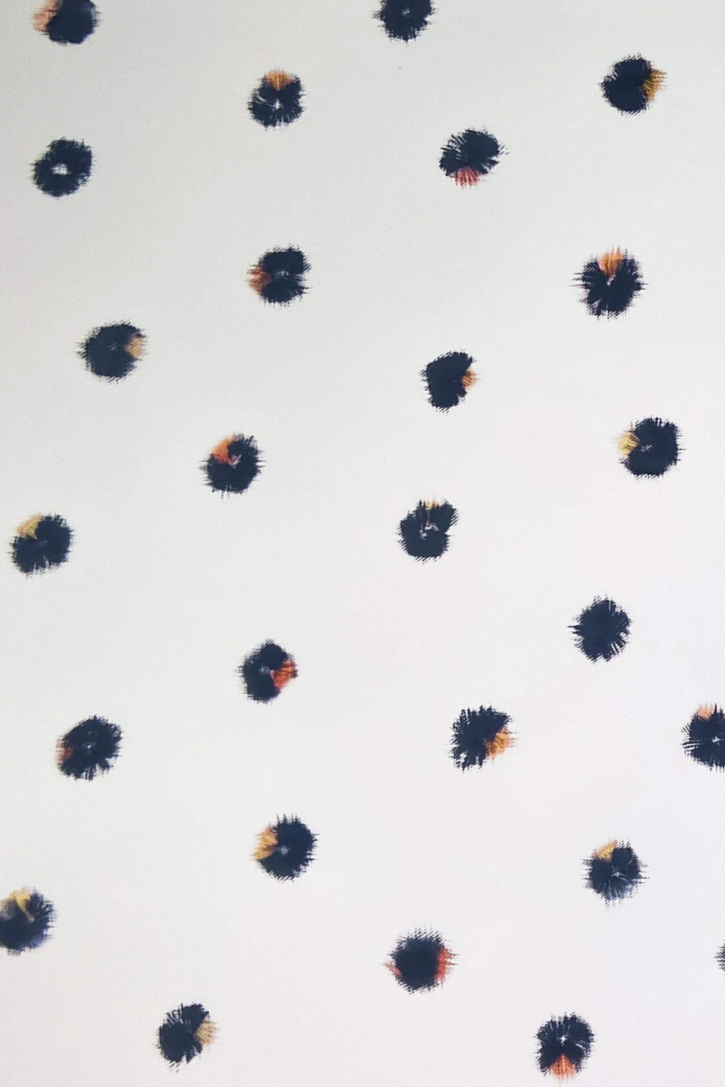 SS24_POLA DOT IMAGE 3.jpg