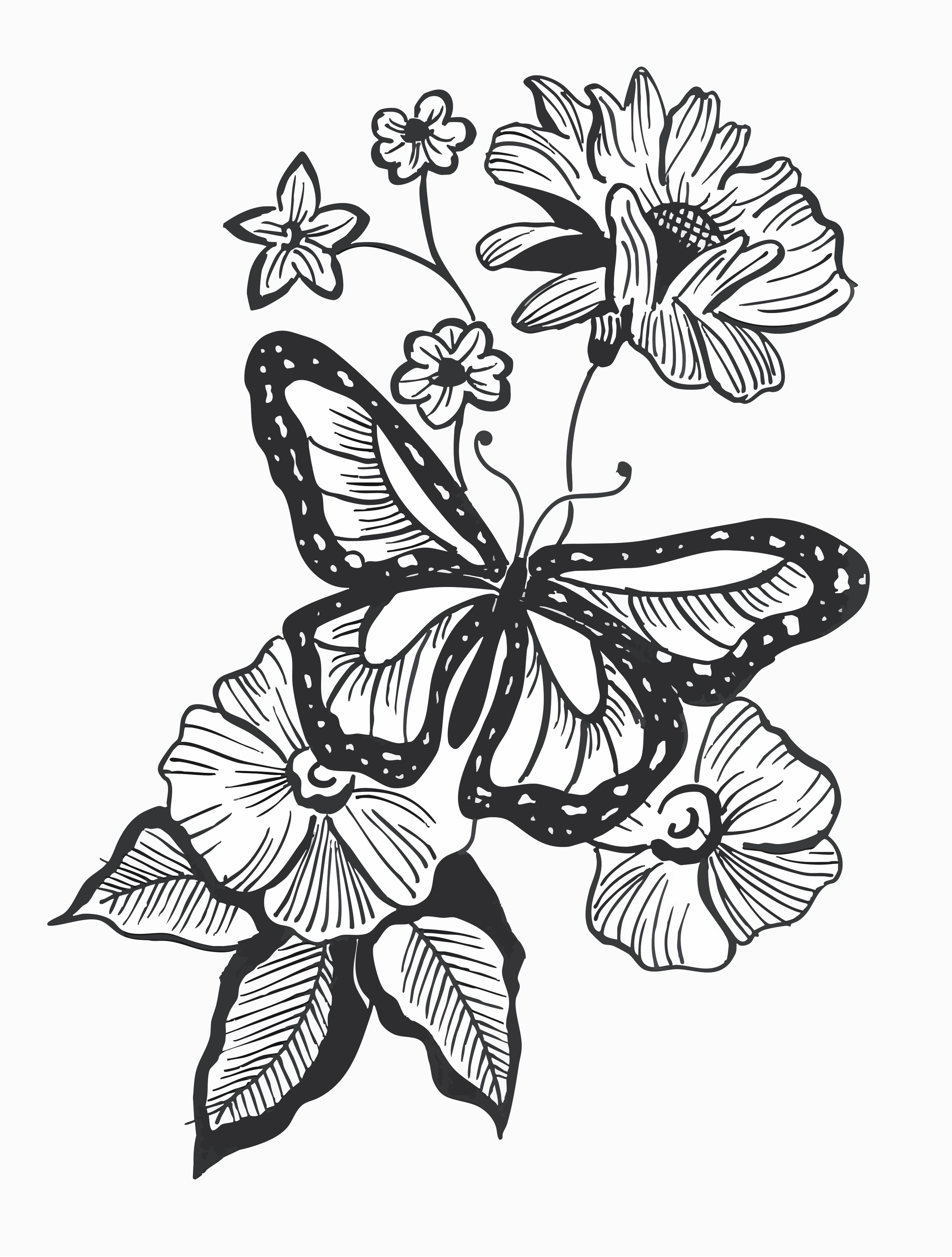 BUTTERFLY MOTIF-1.jpg