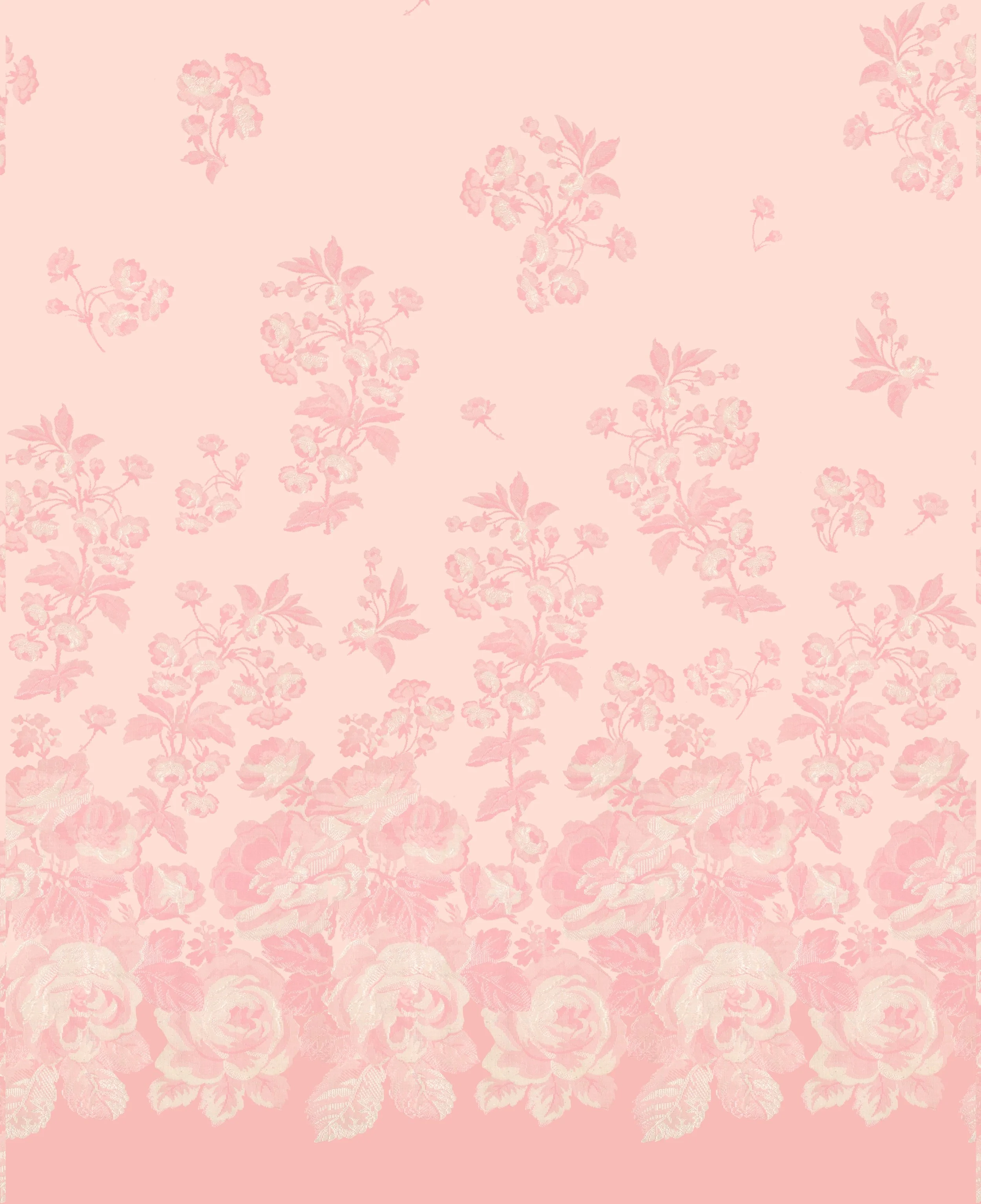 PROVENCE BLOOM_PINK PEARL copy.jpg