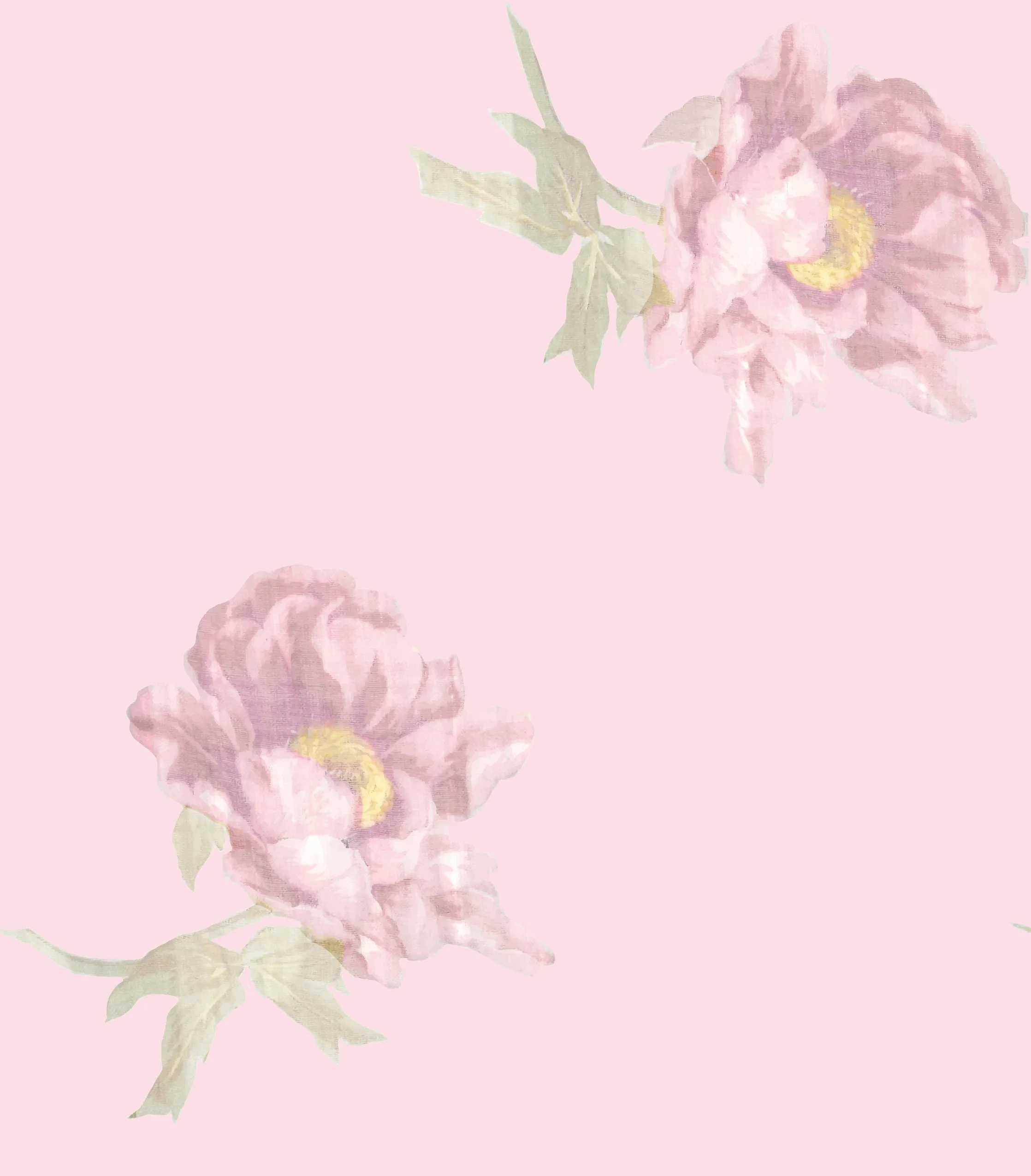 SUNDOWN PEONIES_CIMMARON ROSE.jpg